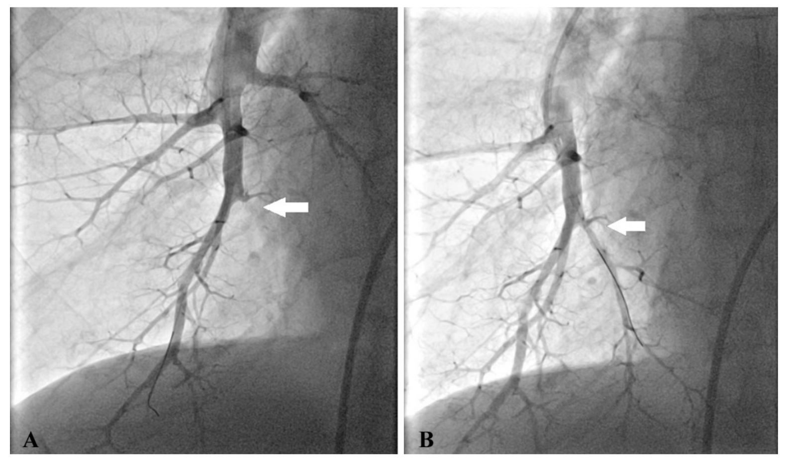 Jcm 09 03608 g001 Jcm 09 03608 g001