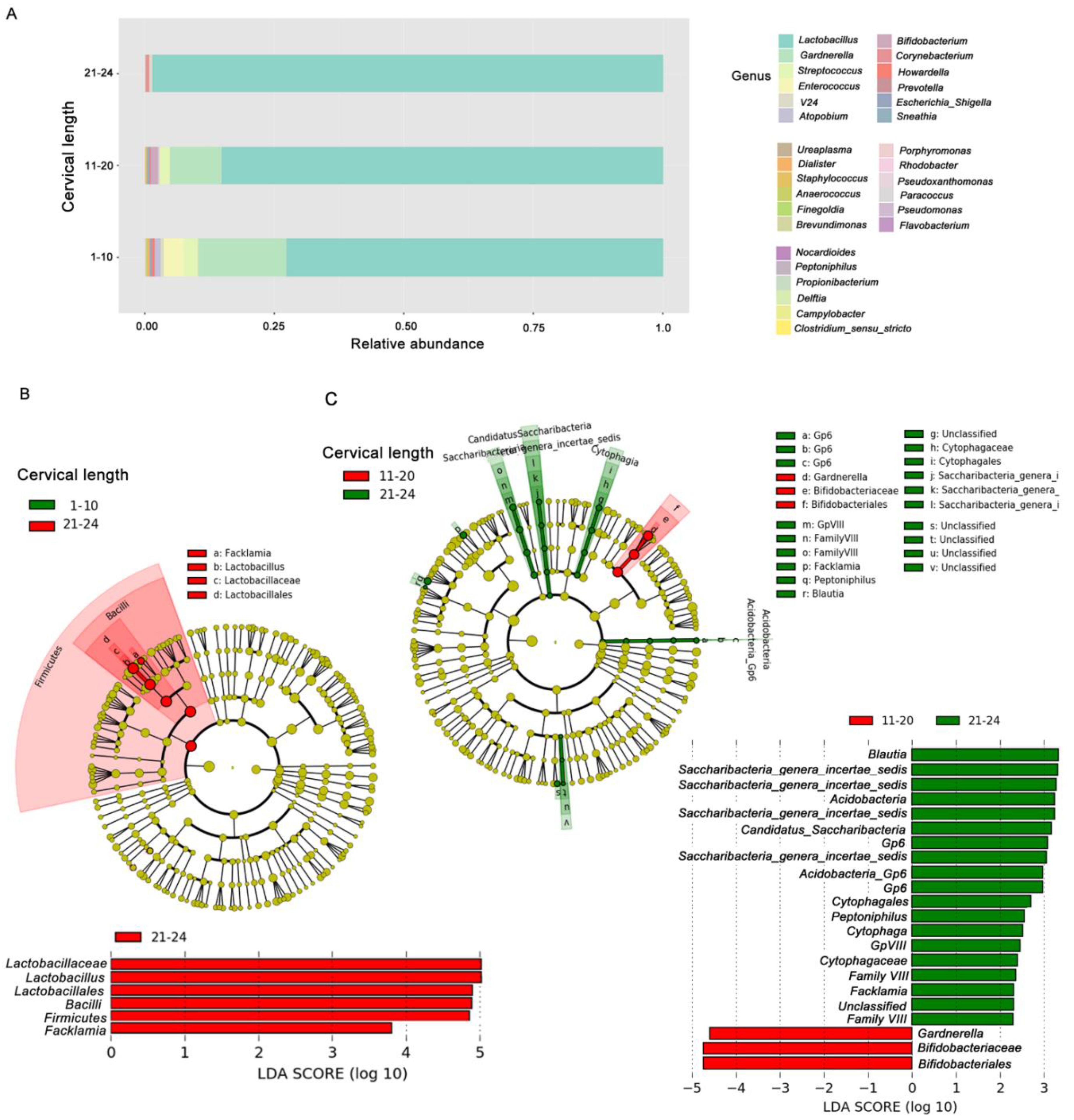 Jcm 09 03621 g003 Jcm 09 03621 g003