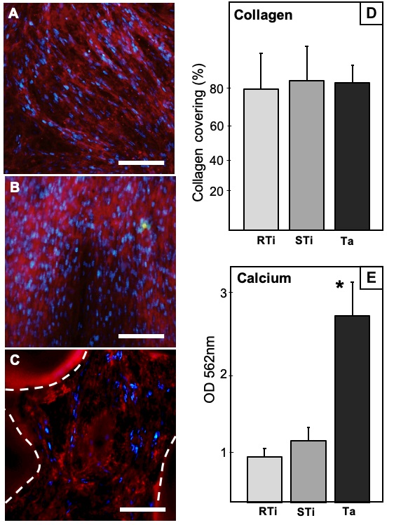 Jcm 09 03657 g003 Jcm 09 03657 g003