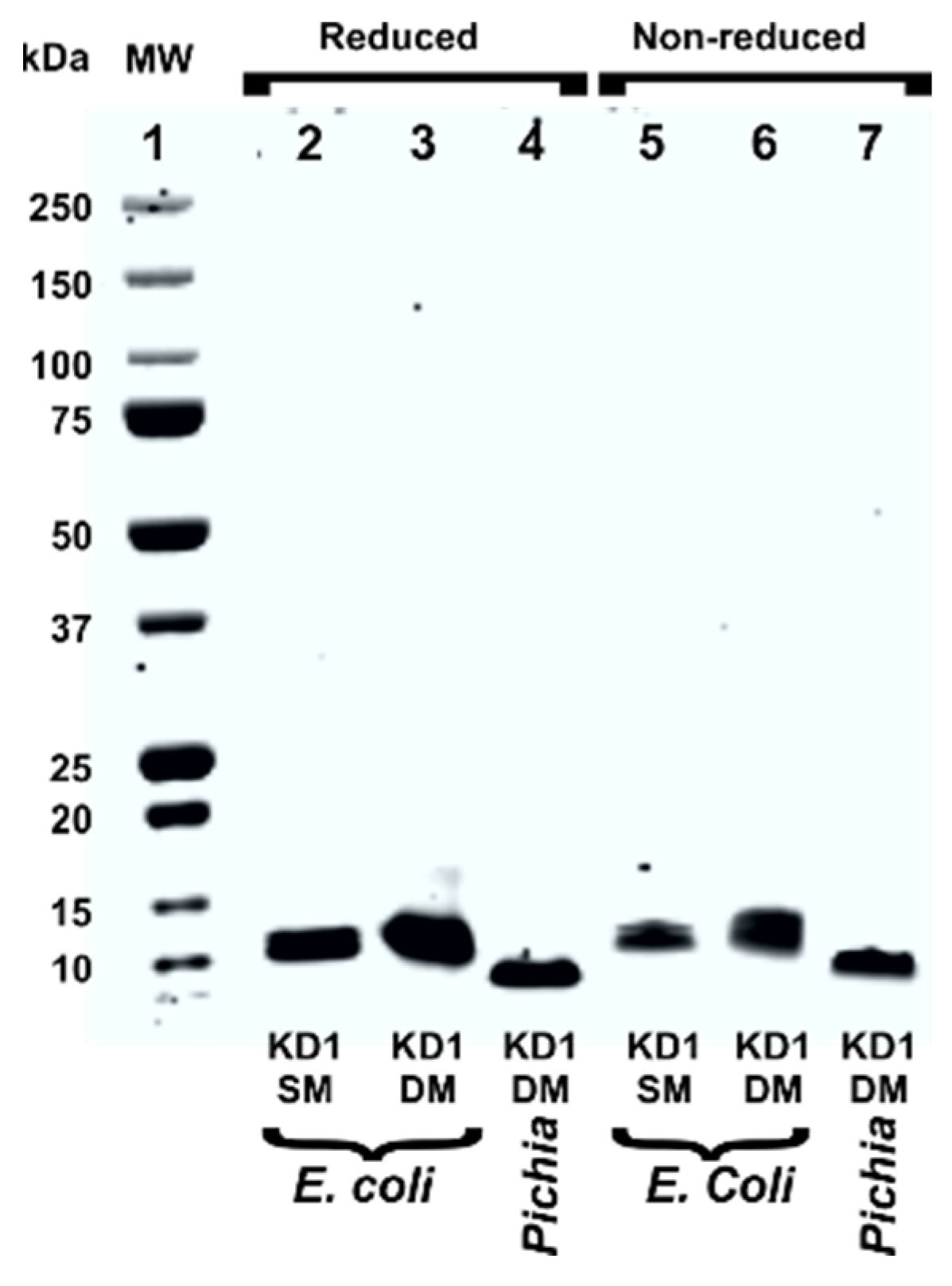 Jcm 09 03684 g002 Jcm 09 03684 g002