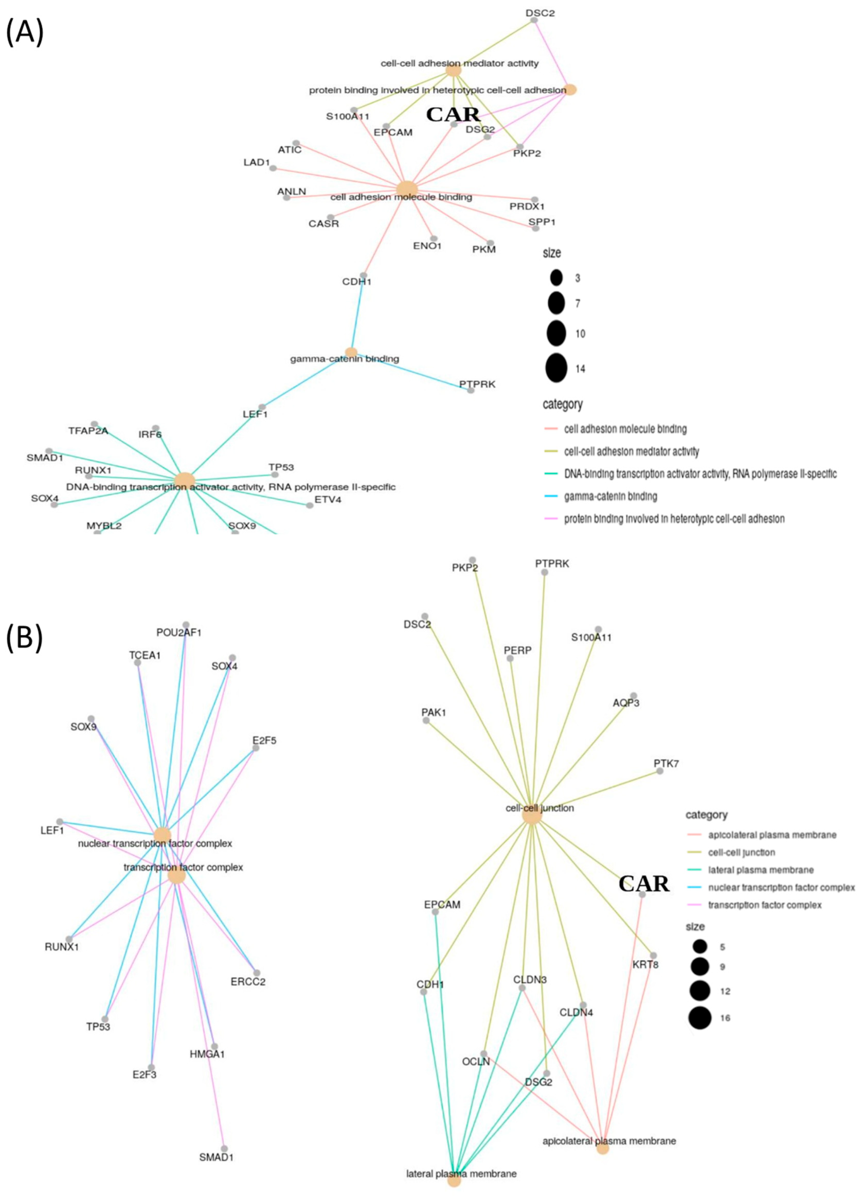 Jcm 09 03693 g002 Jcm 09 03693 g002