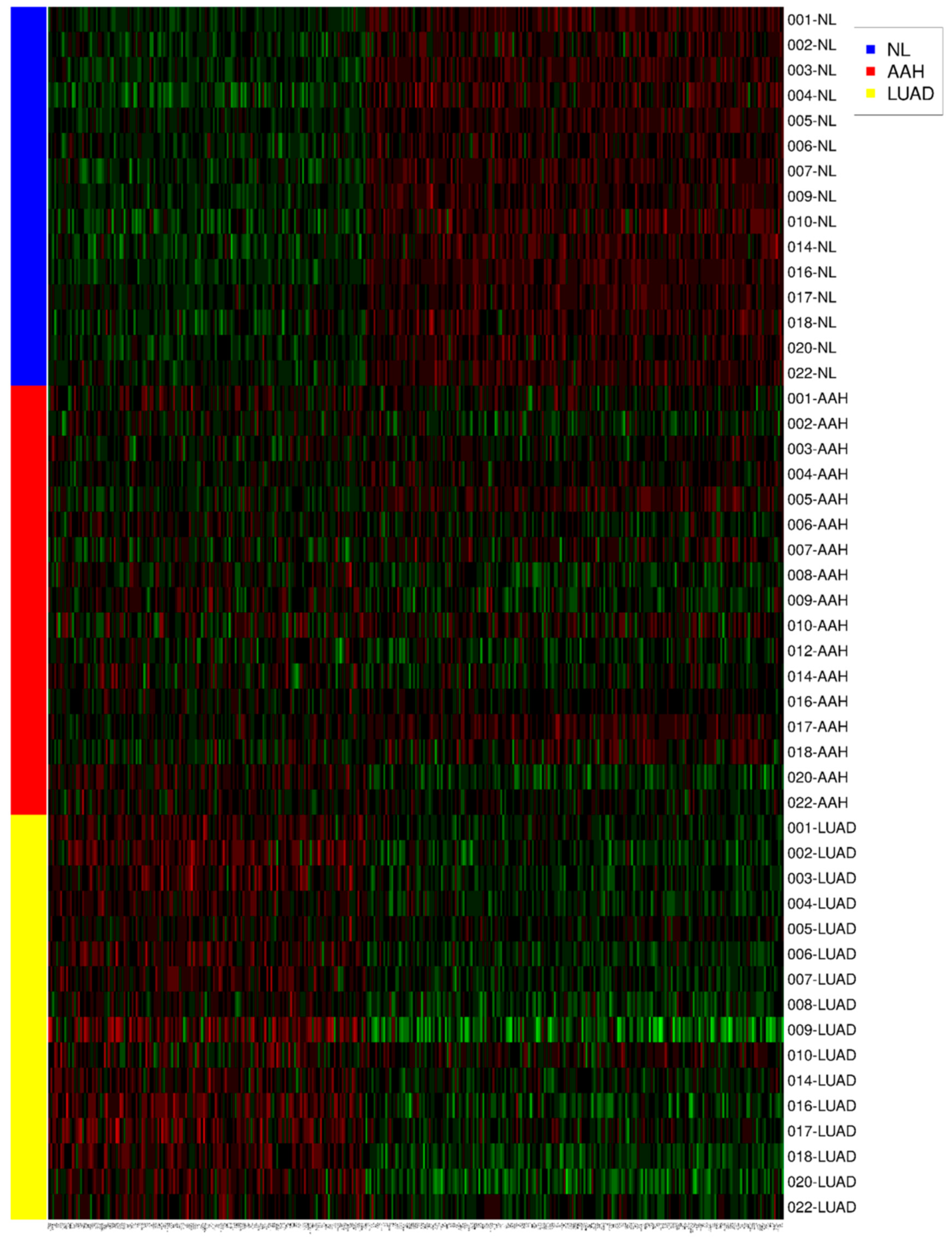 Jcm 09 03693 g003 Jcm 09 03693 g003