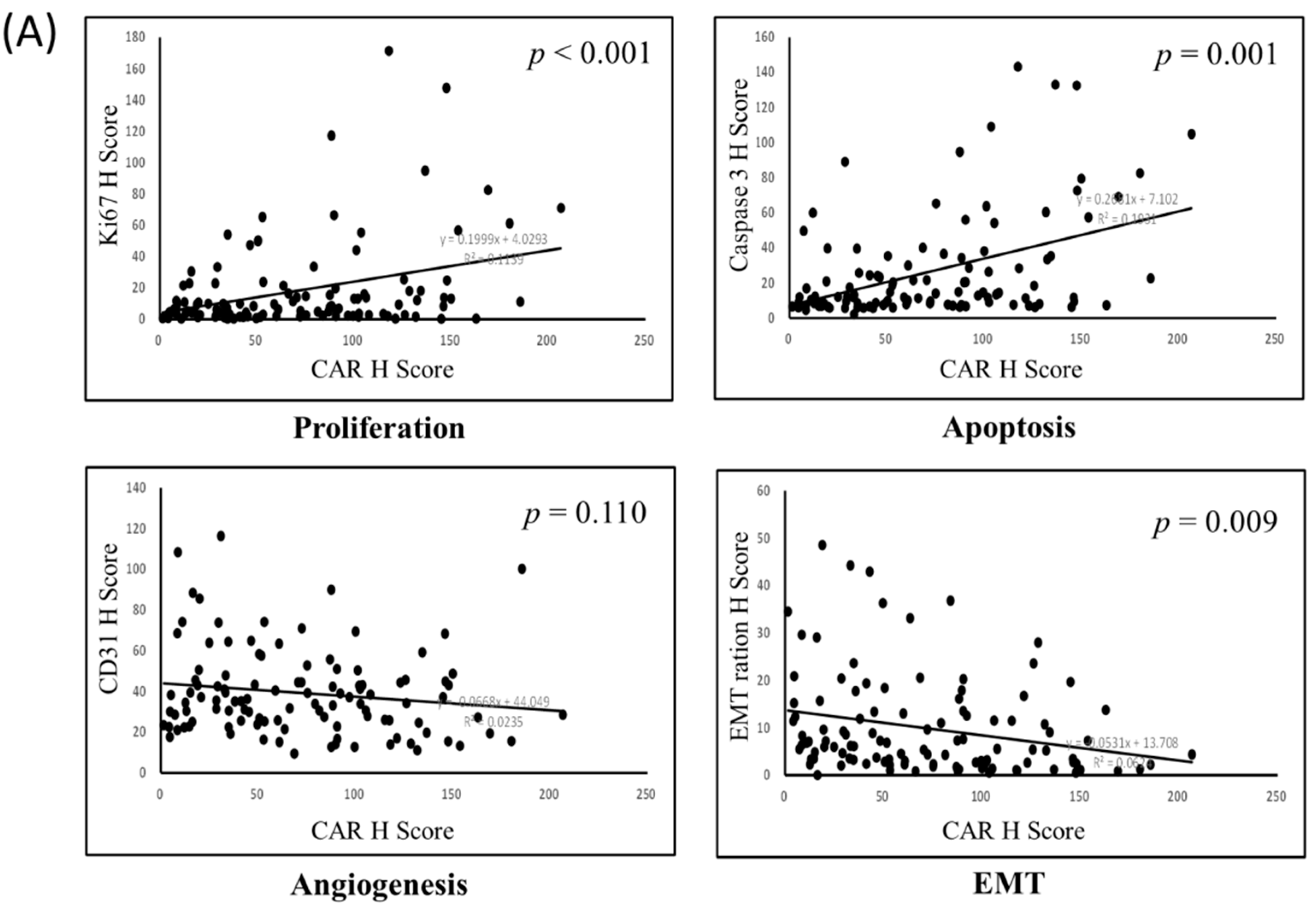 Jcm 09 03693 g006a Jcm 09 03693 g006a