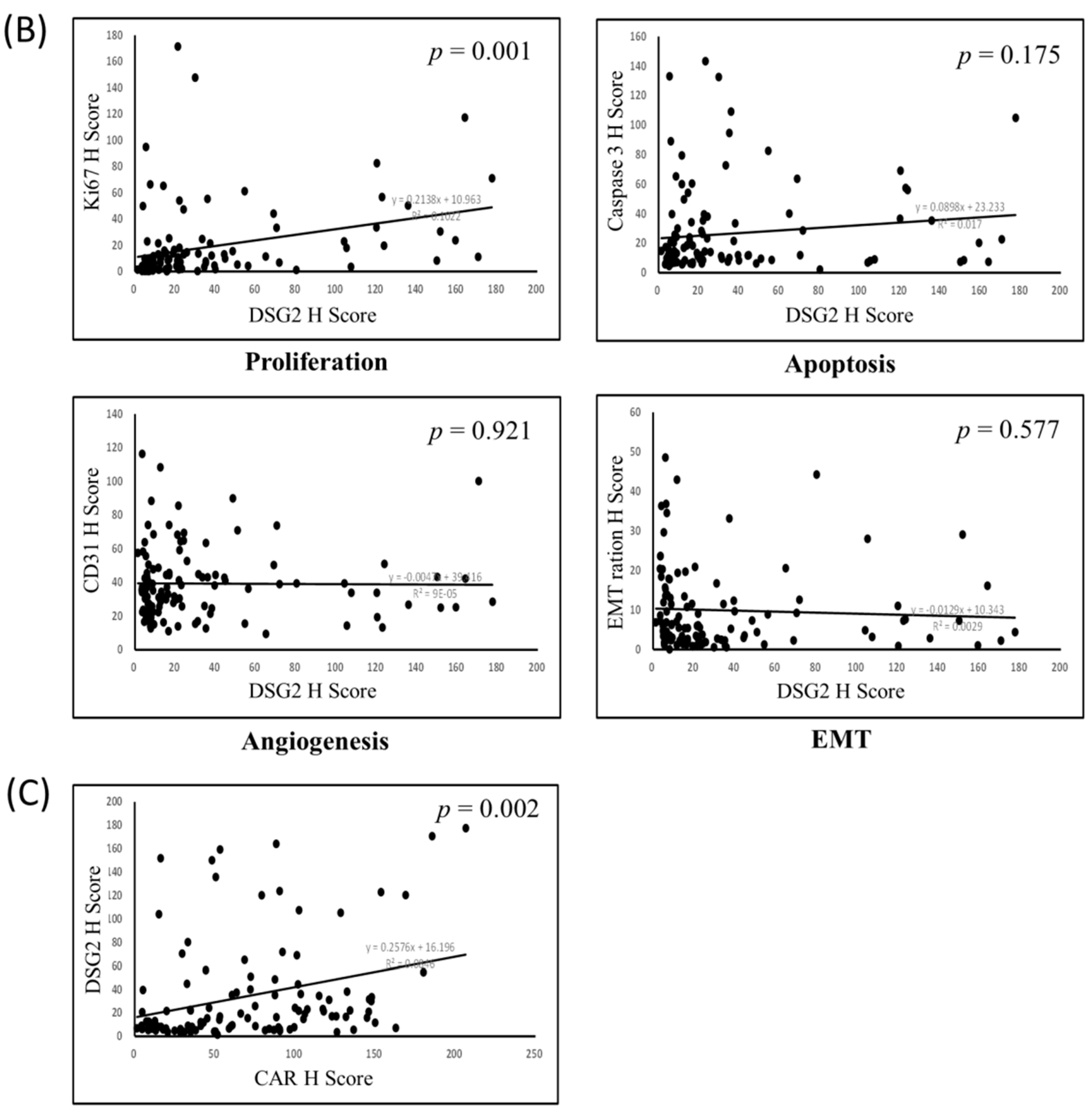 Jcm 09 03693 g006b Jcm 09 03693 g006b