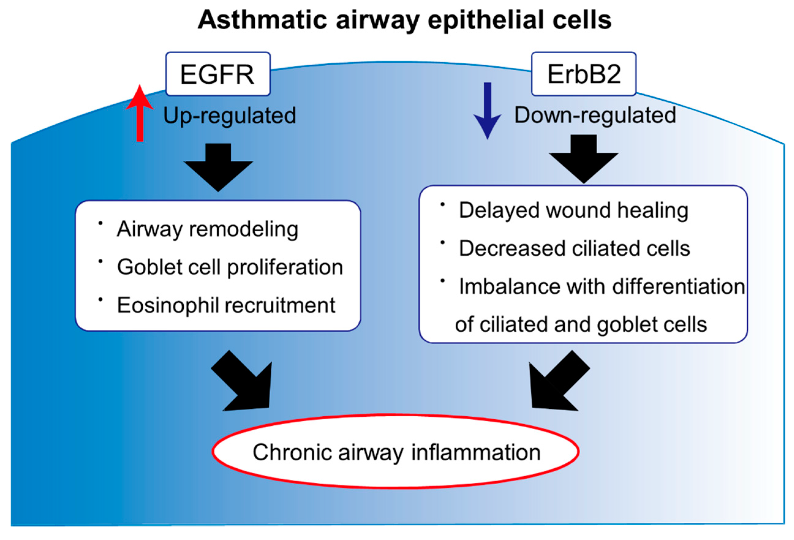 Jcm 09 03698 g001 Jcm 09 03698 g001