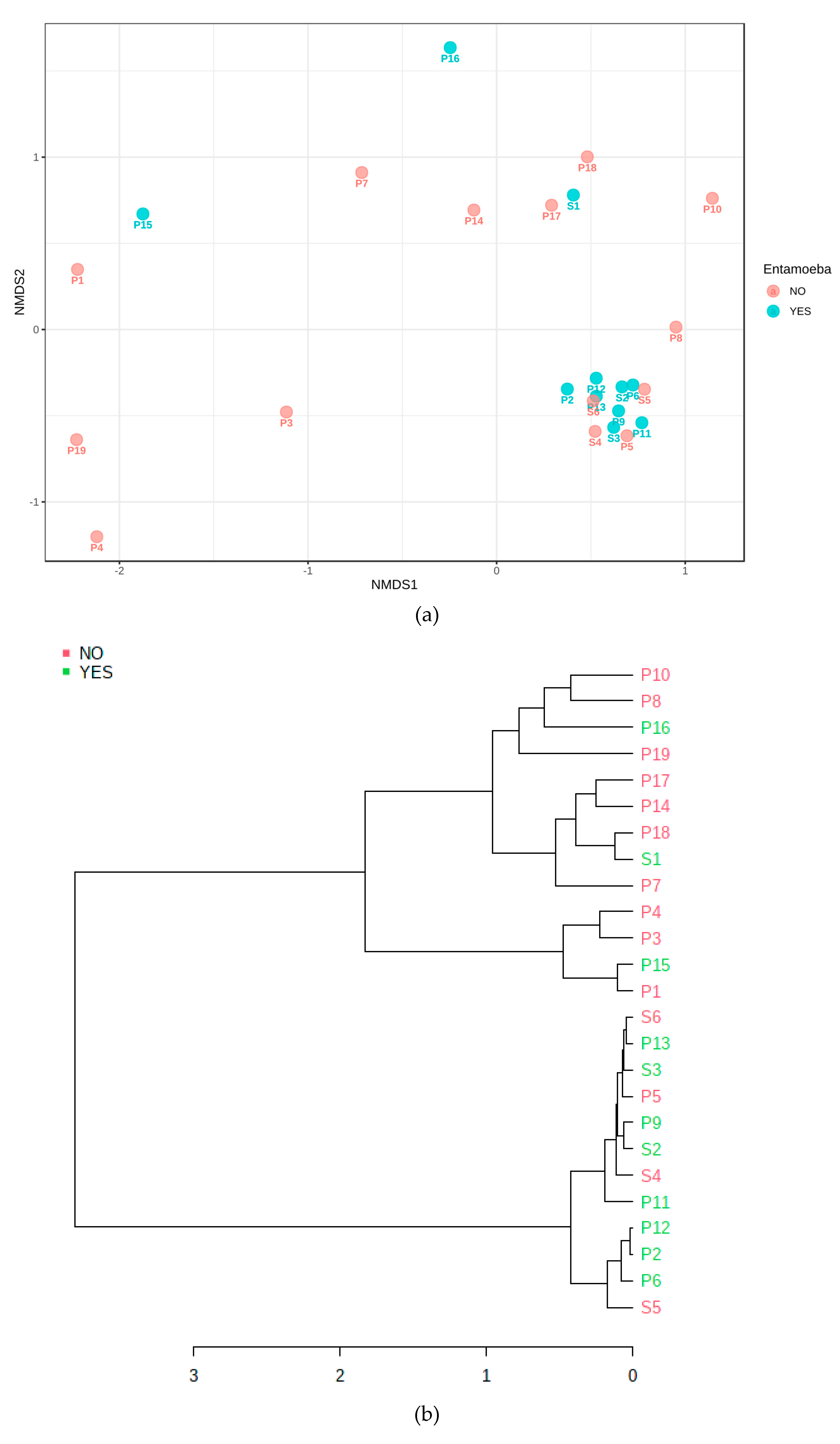 Jcm 09 03700 g006a Jcm 09 03700 g006a