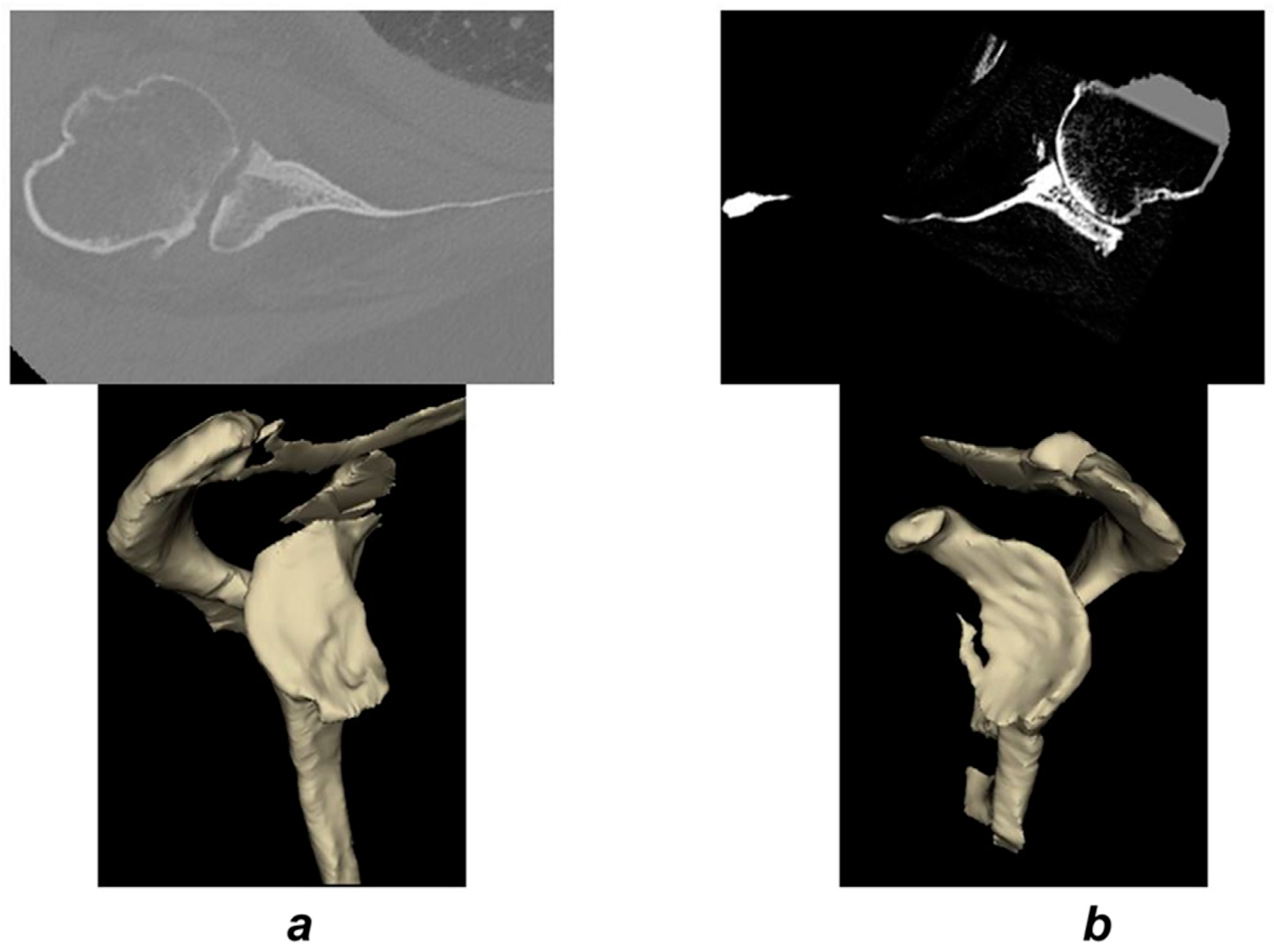 Jcm 09 03704 g004 Jcm 09 03704 g004