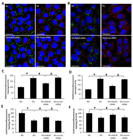 jcm special issue state of the art research on diabetic retinopathy