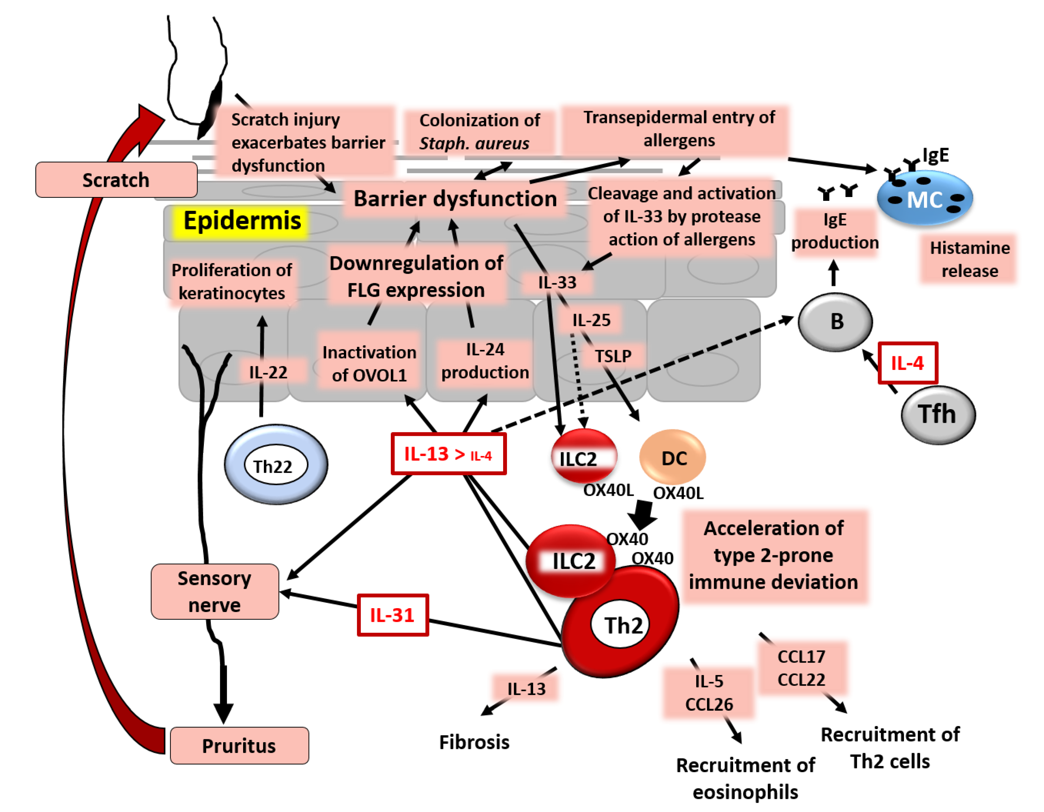 Jcm 09 03741 g005 Jcm 09 03741 g005