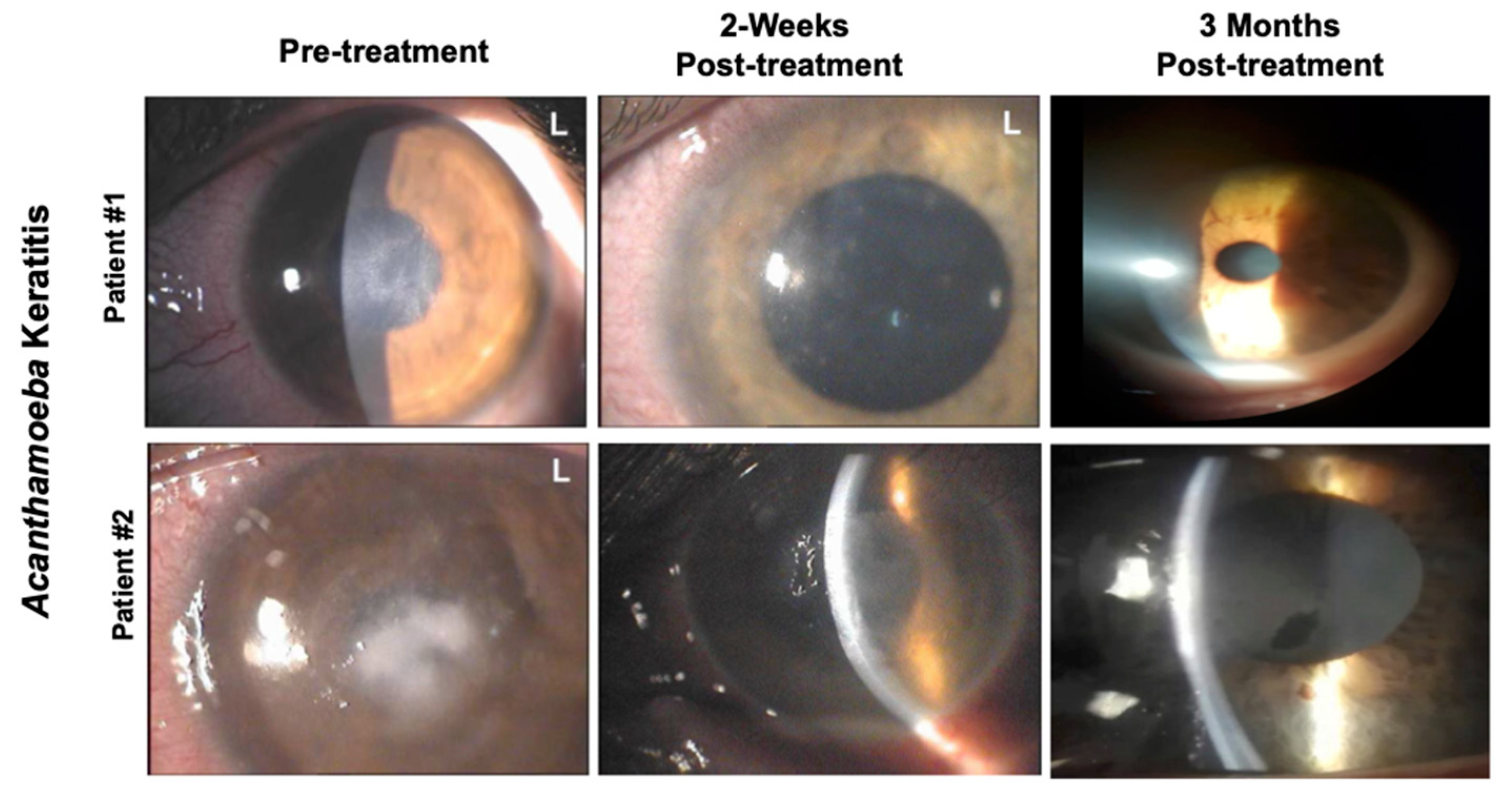 Jcm 09 03775 g002 Jcm 09 03775 g002
