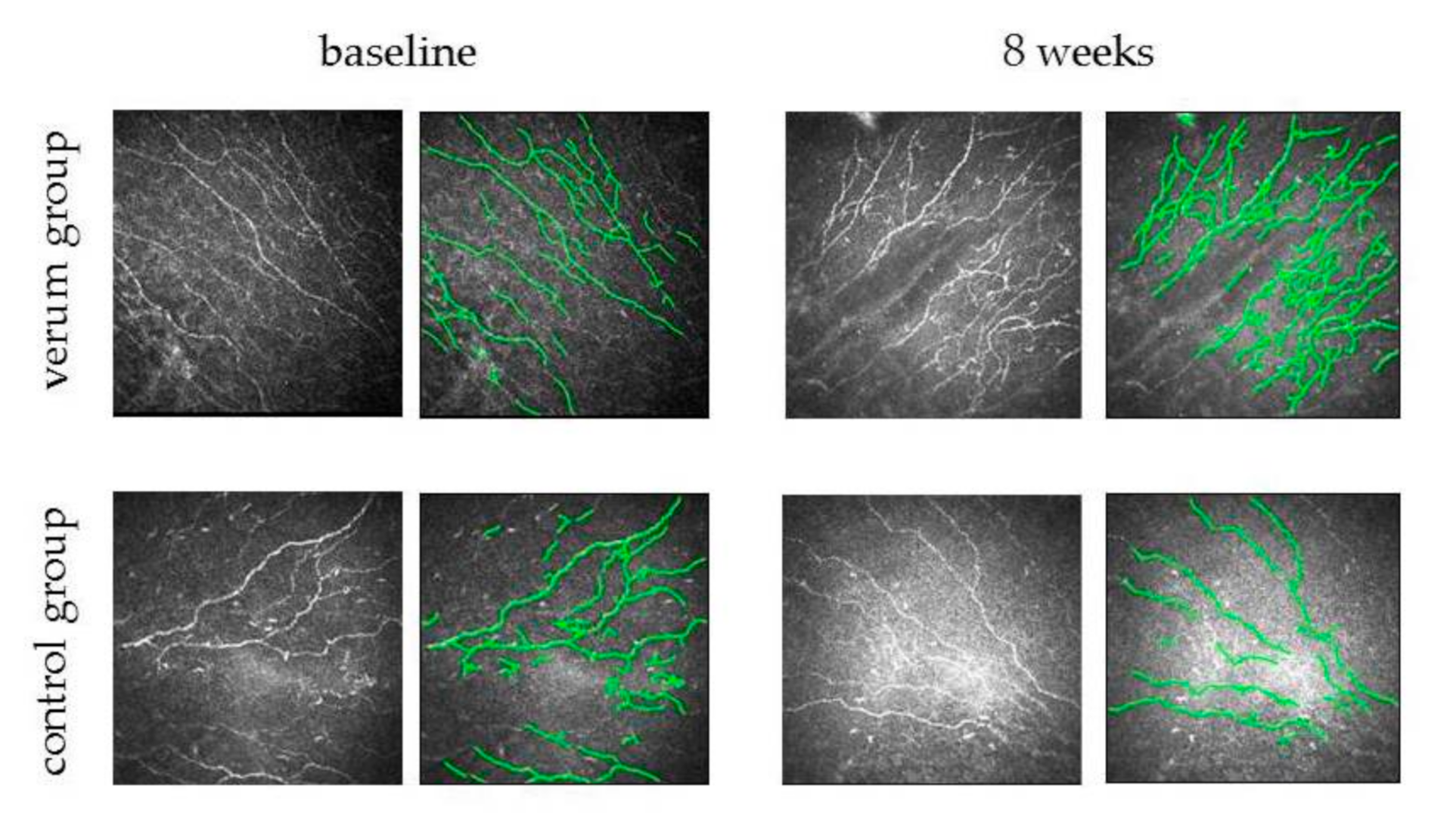 Jcm 09 03799 g002 Jcm 09 03799 g002