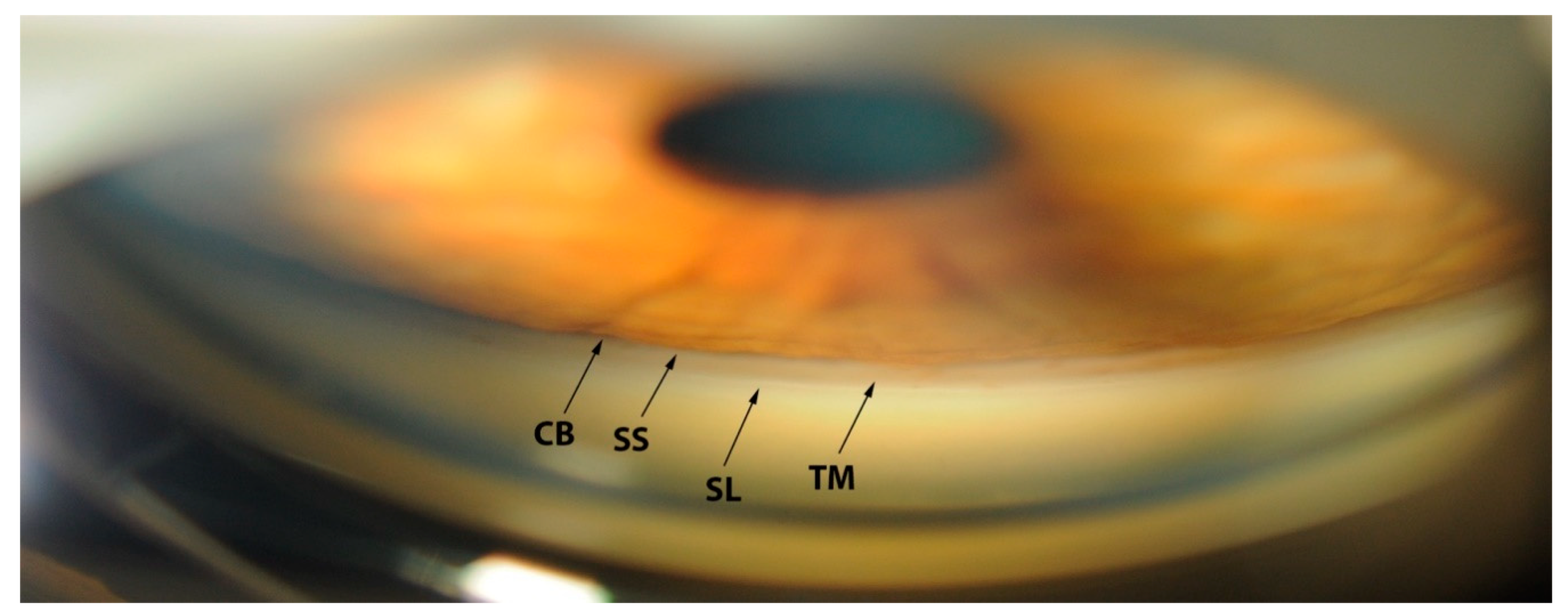 Jcm 09 03814 g002 Jcm 09 03814 g002