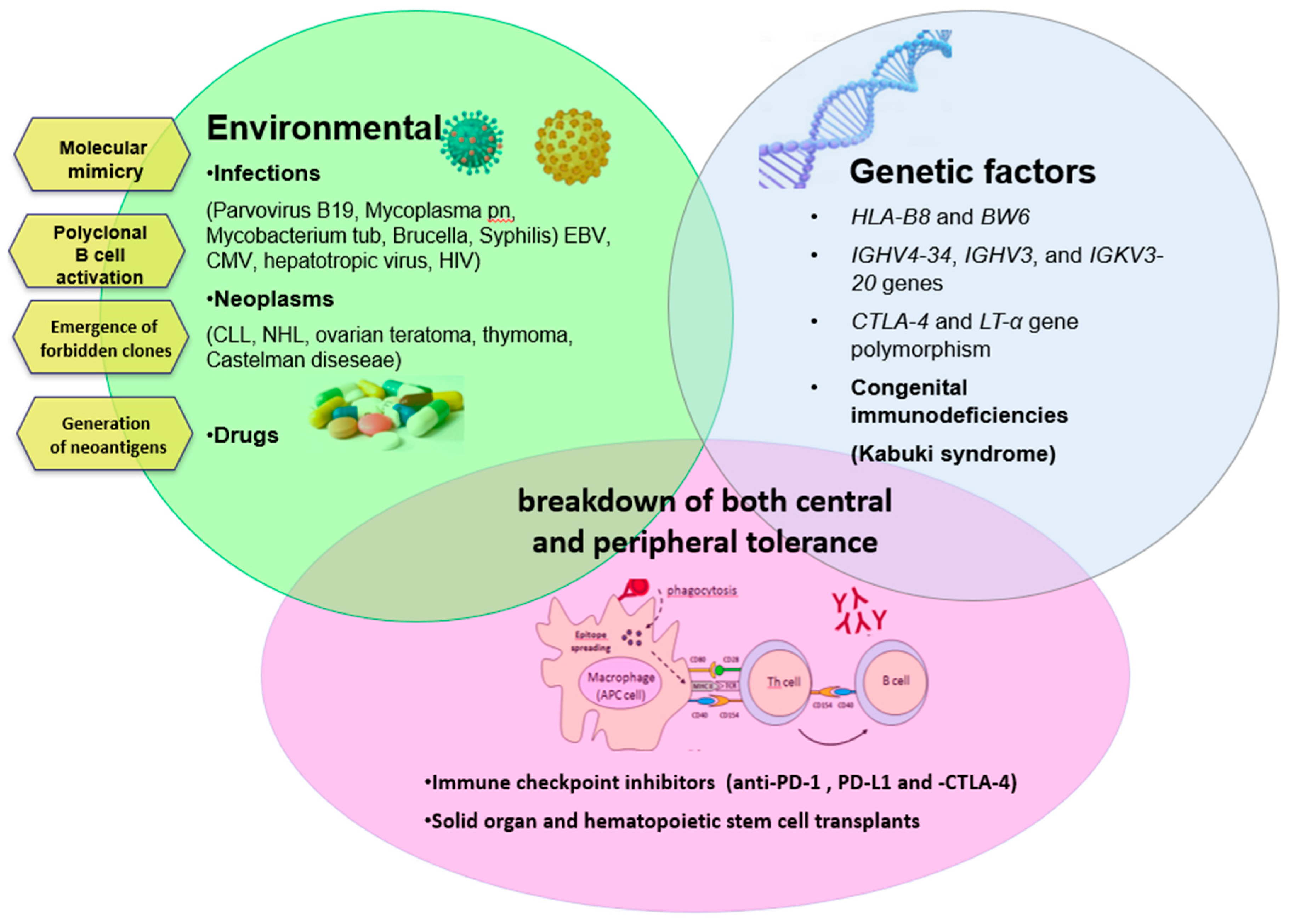 Jcm 09 03859 g002 Jcm 09 03859 g002