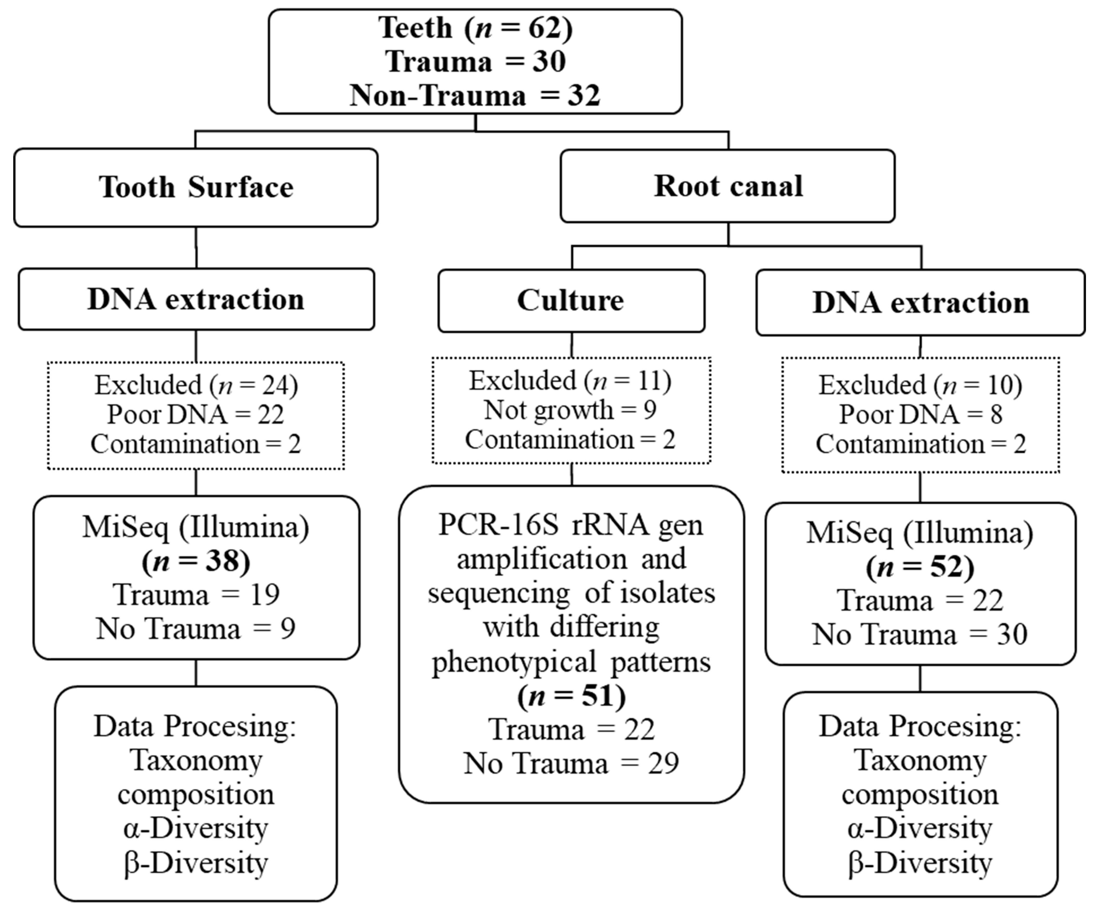 Jcm 09 03877 g001 Jcm 09 03877 g001