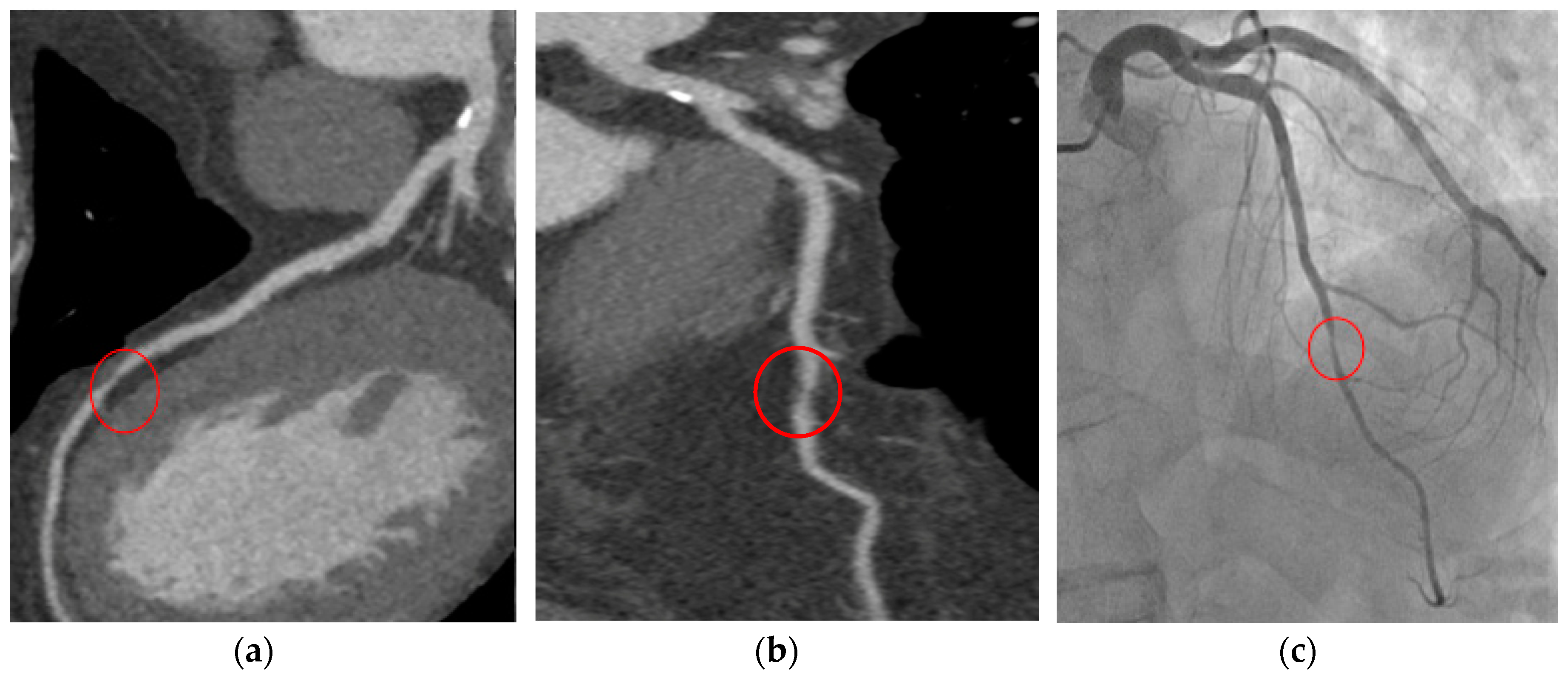 Jcm 09 03925 g001