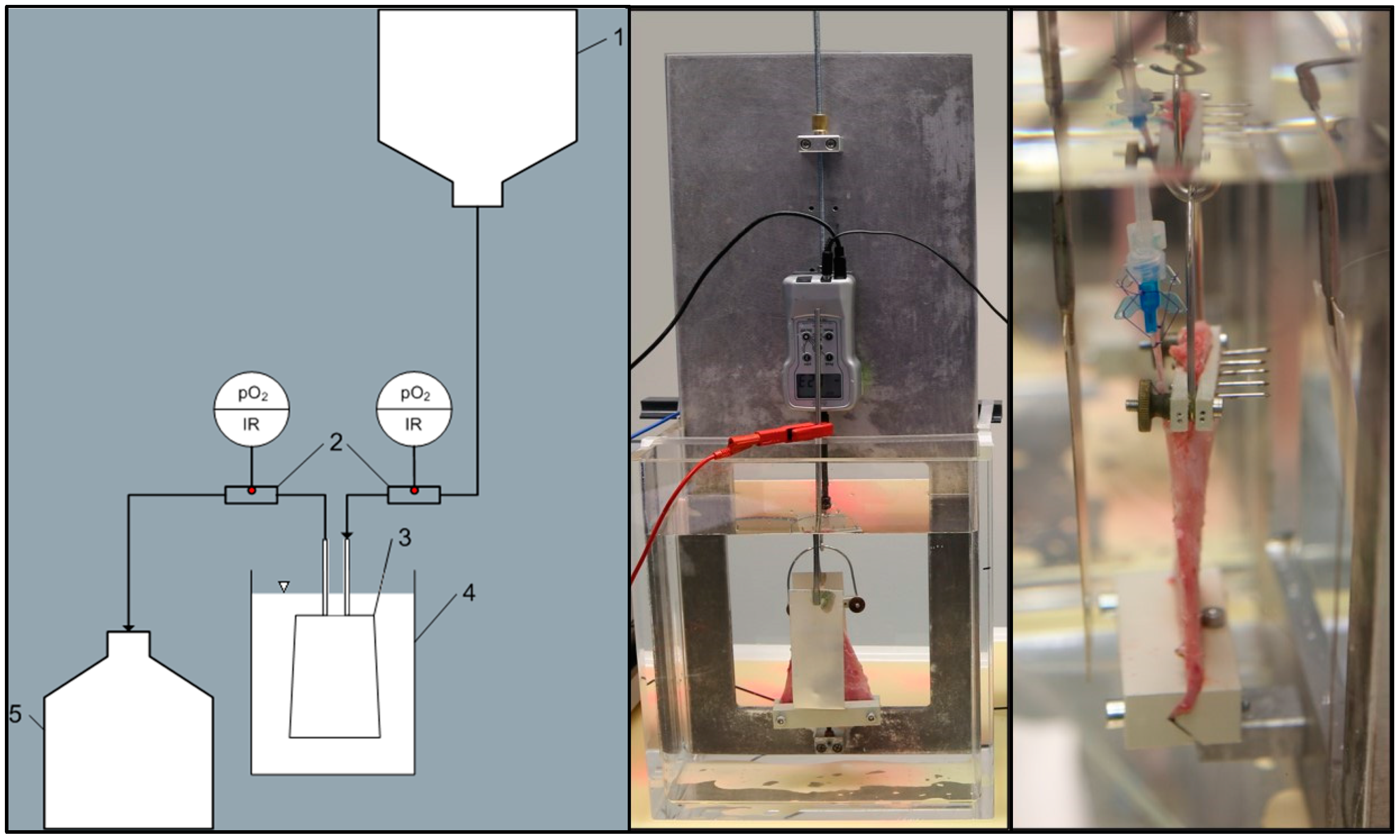 Jcm 09 03929 g001 Jcm 09 03929 g001