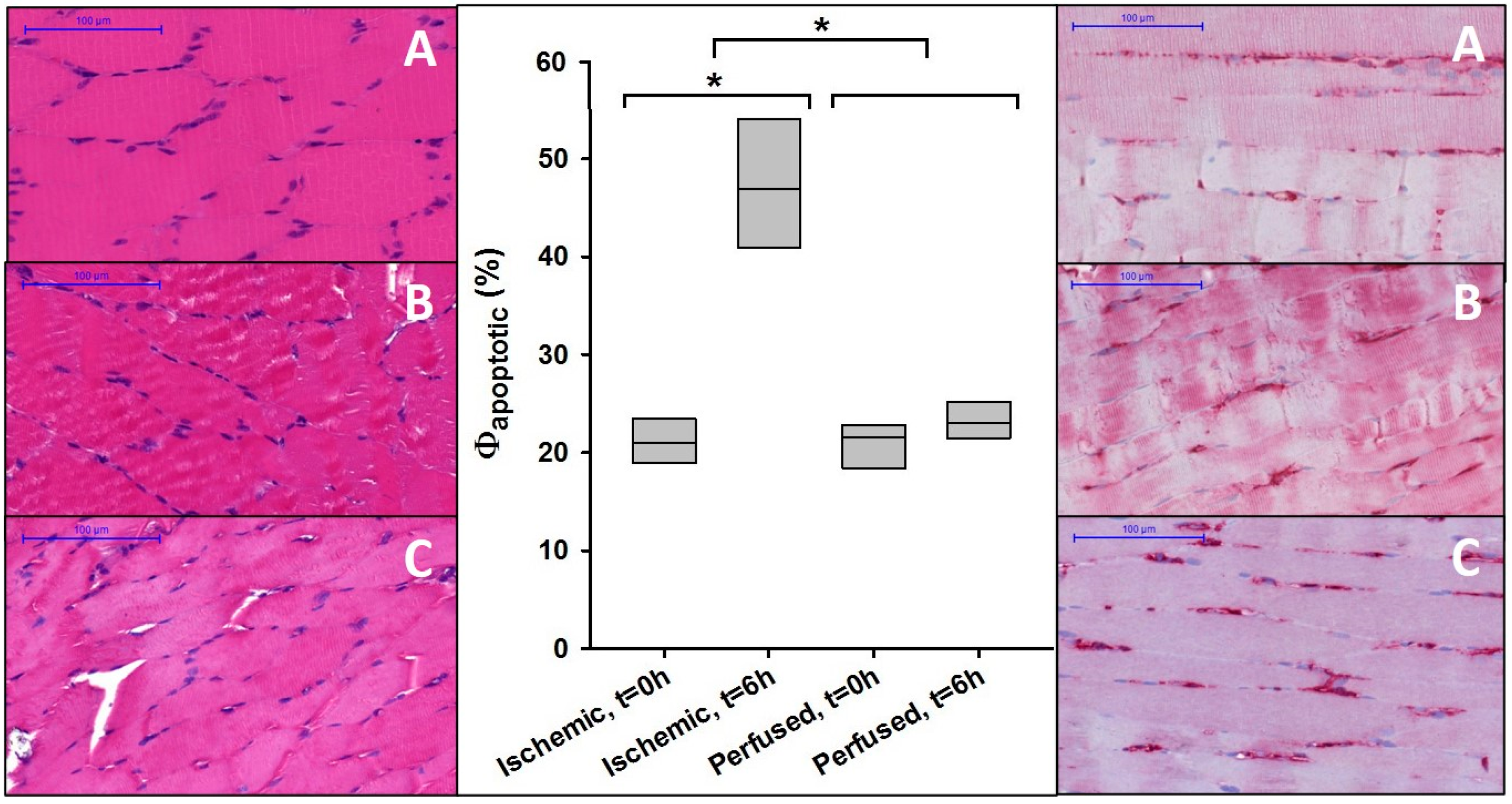 Jcm 09 03929 g004 Jcm 09 03929 g004
