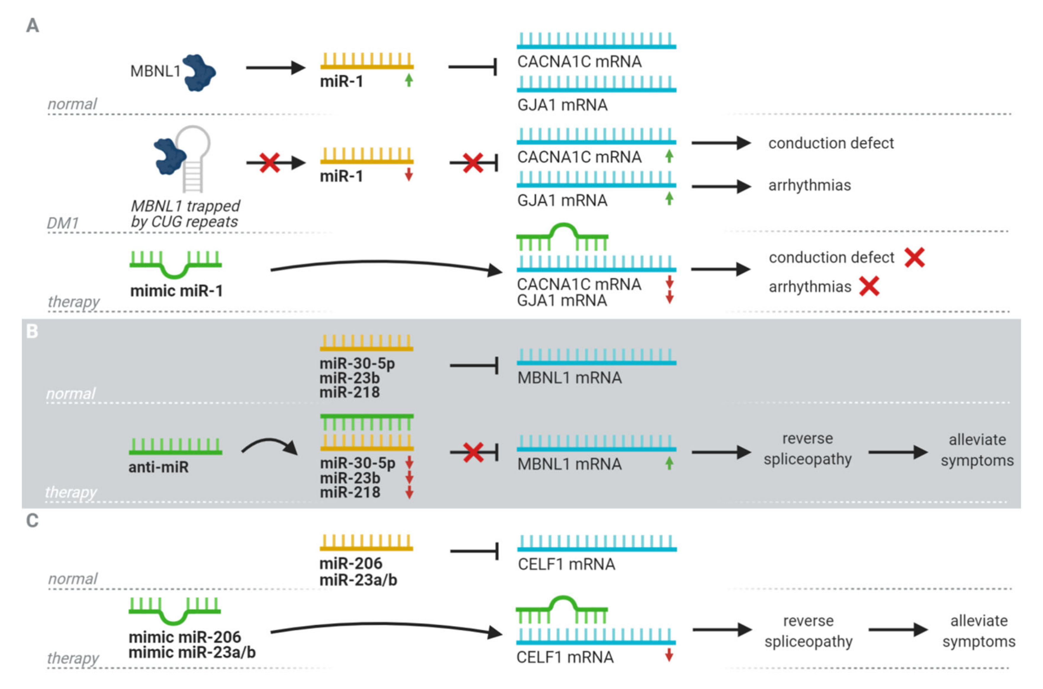 Jcm 09 03939 g002 Jcm 09 03939 g002