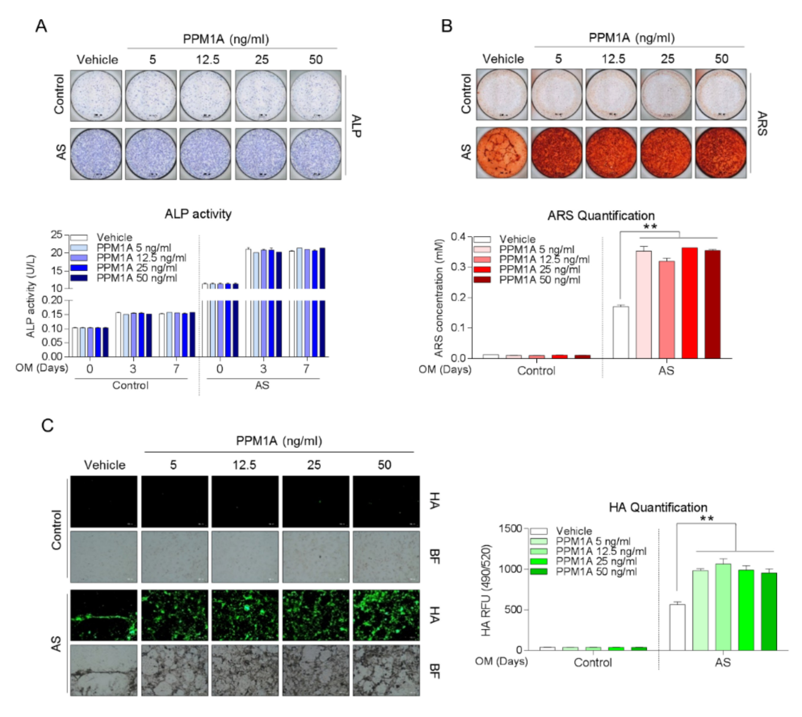 Jcm 09 03968 g004 Jcm 09 03968 g004