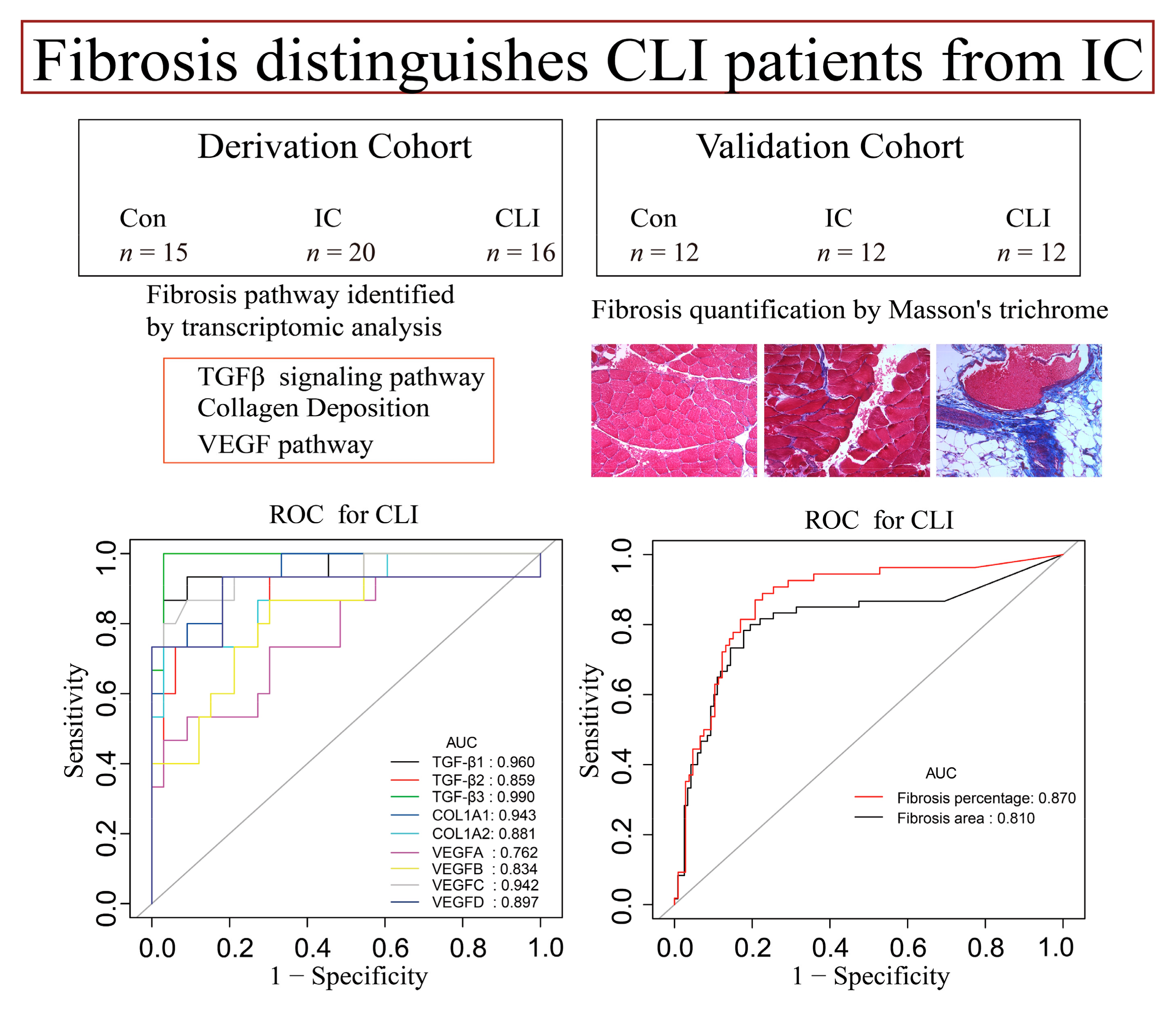 Jcm Free Full Text Fibrosis Distinguishes Critical Limb Ischemia Patients From Claudicants In A Transcriptomic And Histologic Analysis Html Jcm Free Full Text Fibrosis Distinguishes Critical Limb Ischemia Patients From Claudicants In A Transcriptomic And Histologic Analysis Html