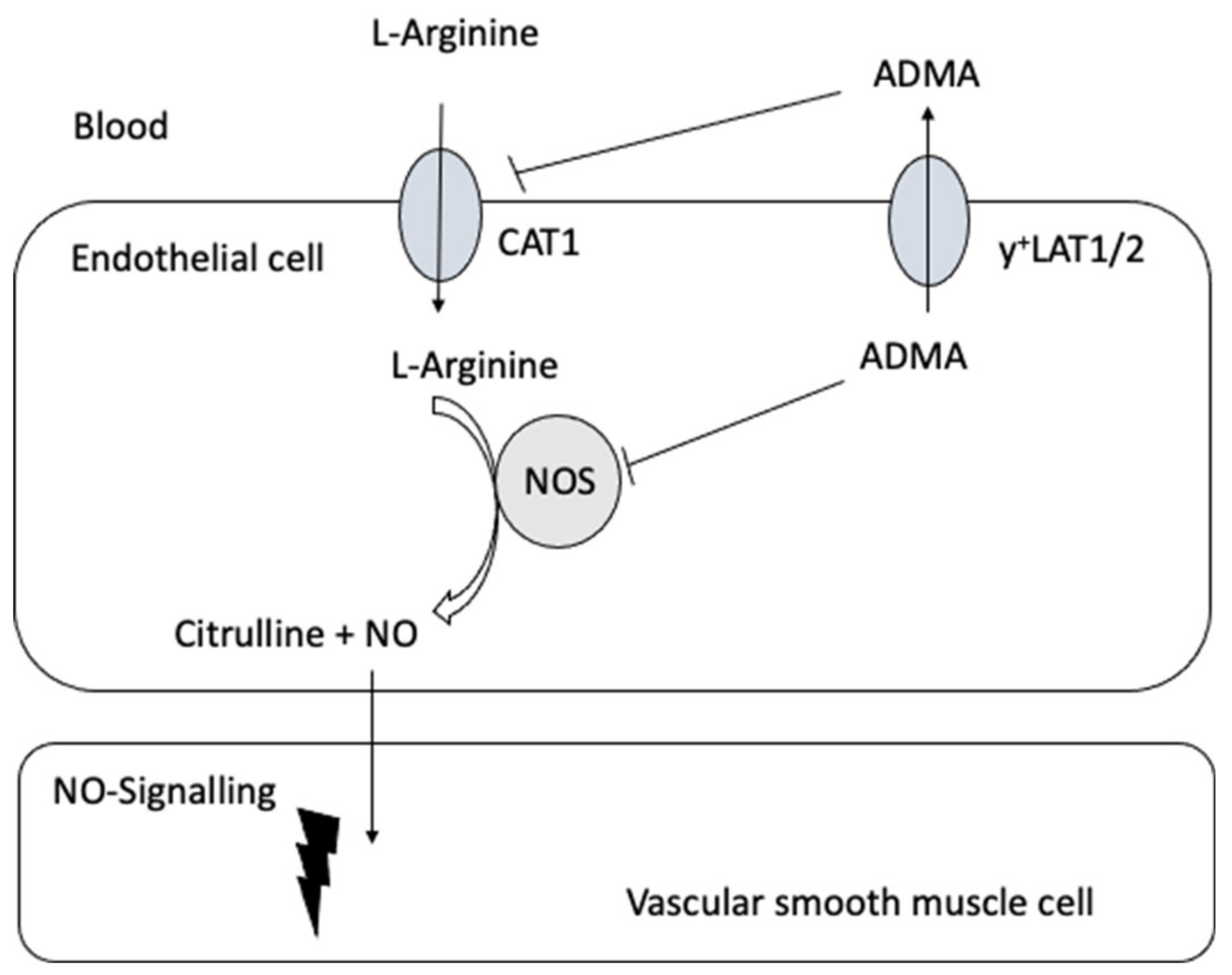 Jcm 09 03975 g003 Jcm 09 03975 g003