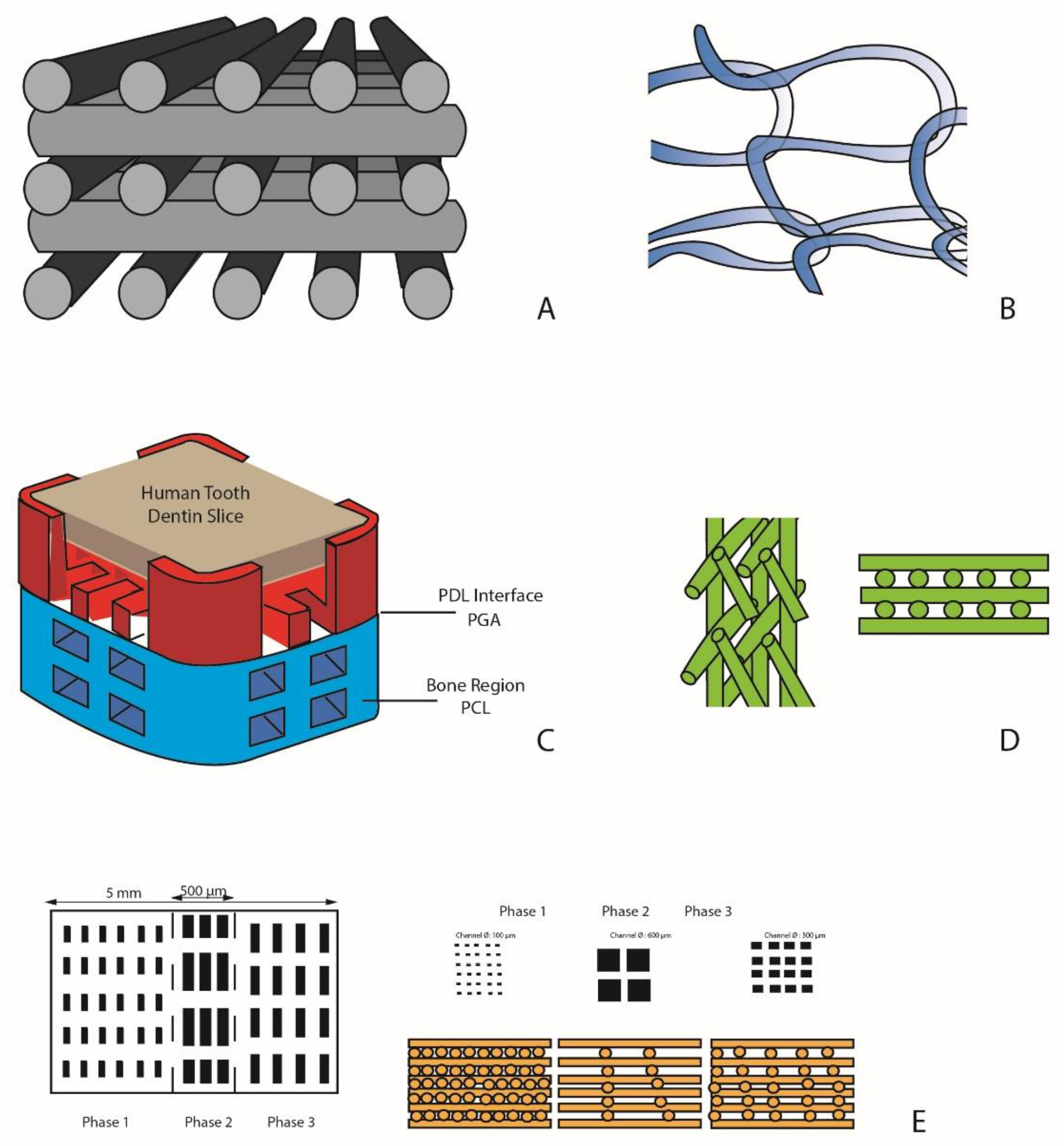 Jcm 09 04008 g002 Jcm 09 04008 g002