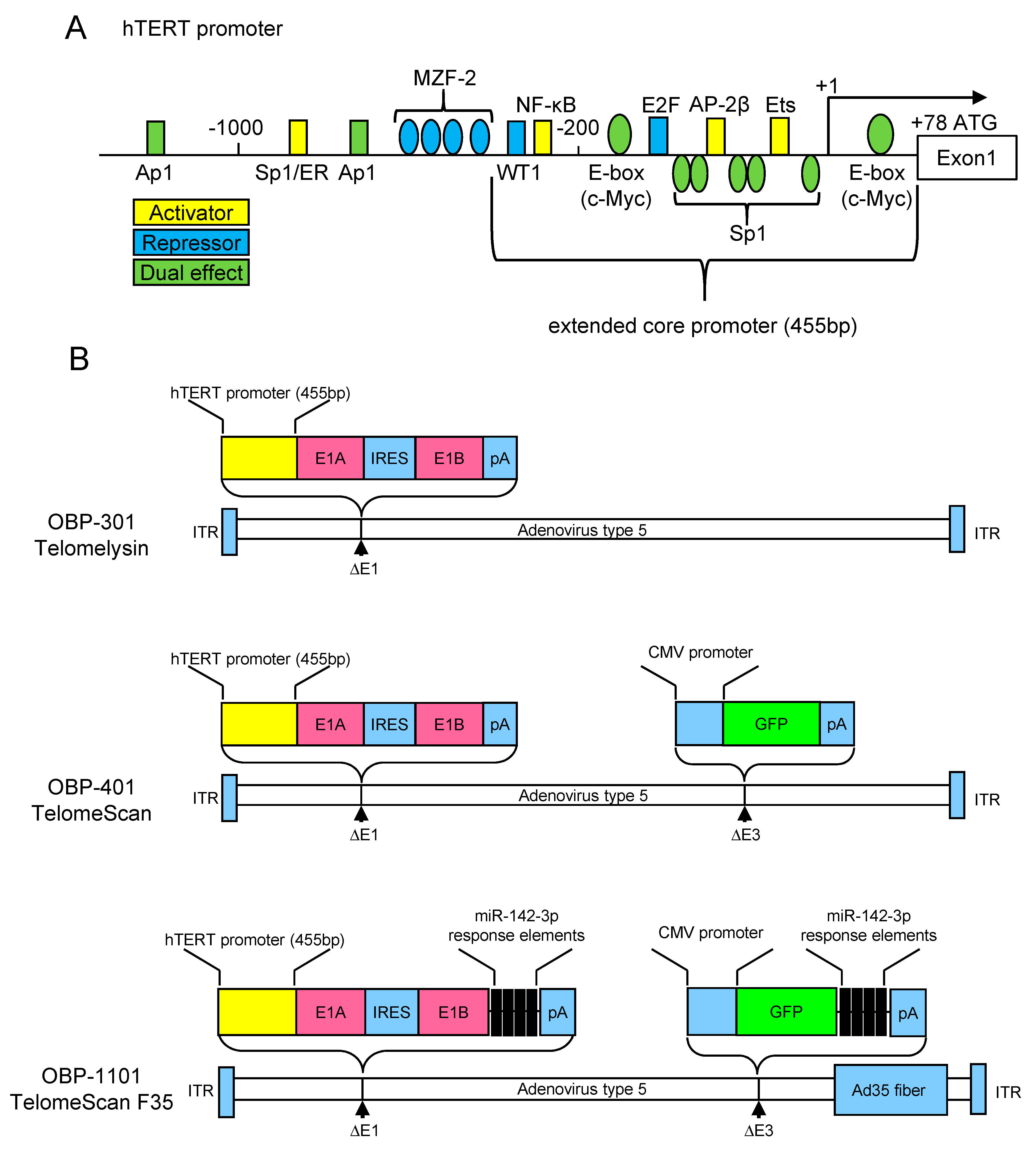 Jcm 09 04044 g001 Jcm 09 04044 g001