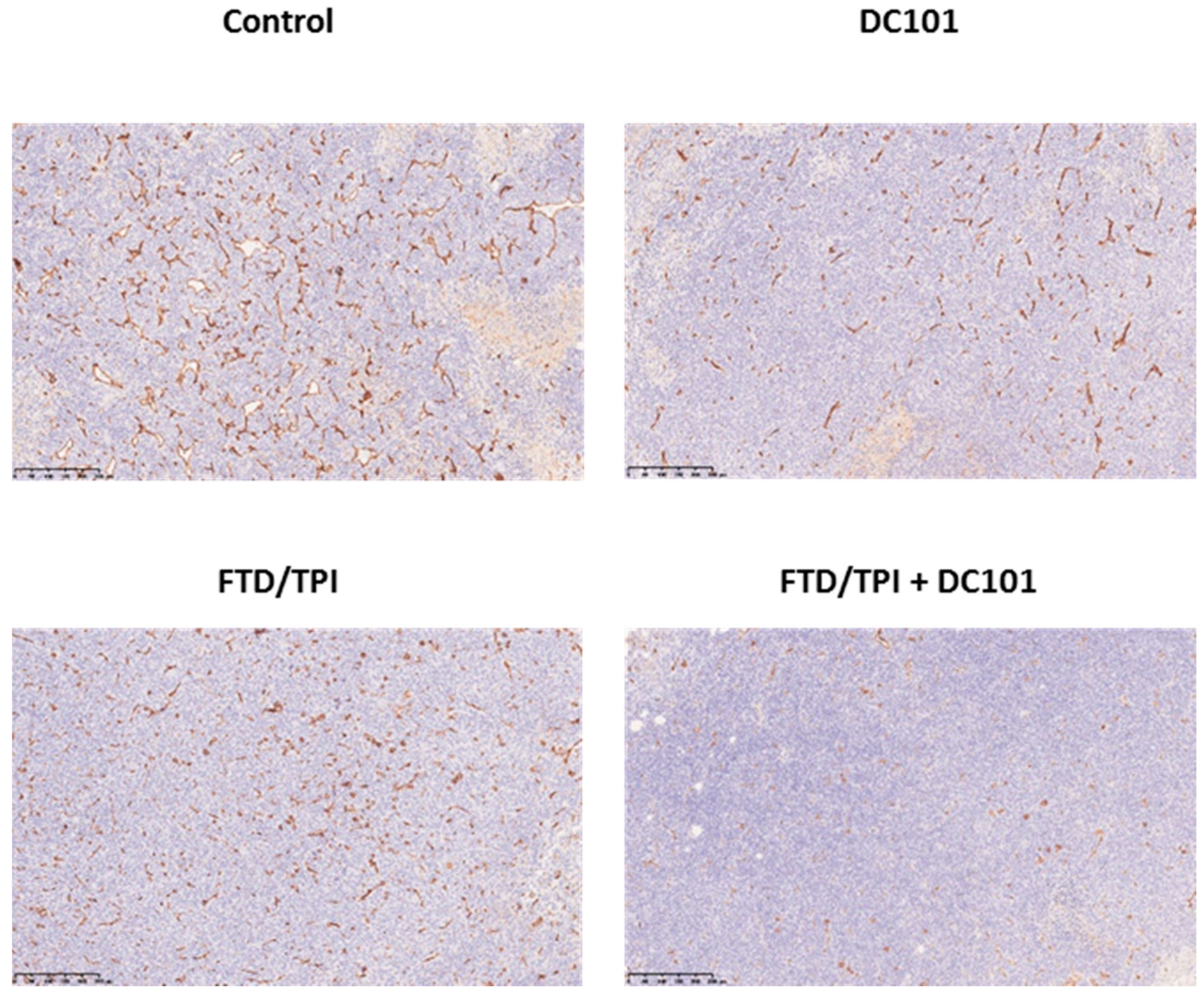 Jcm 09 04050 g004 Jcm 09 04050 g004