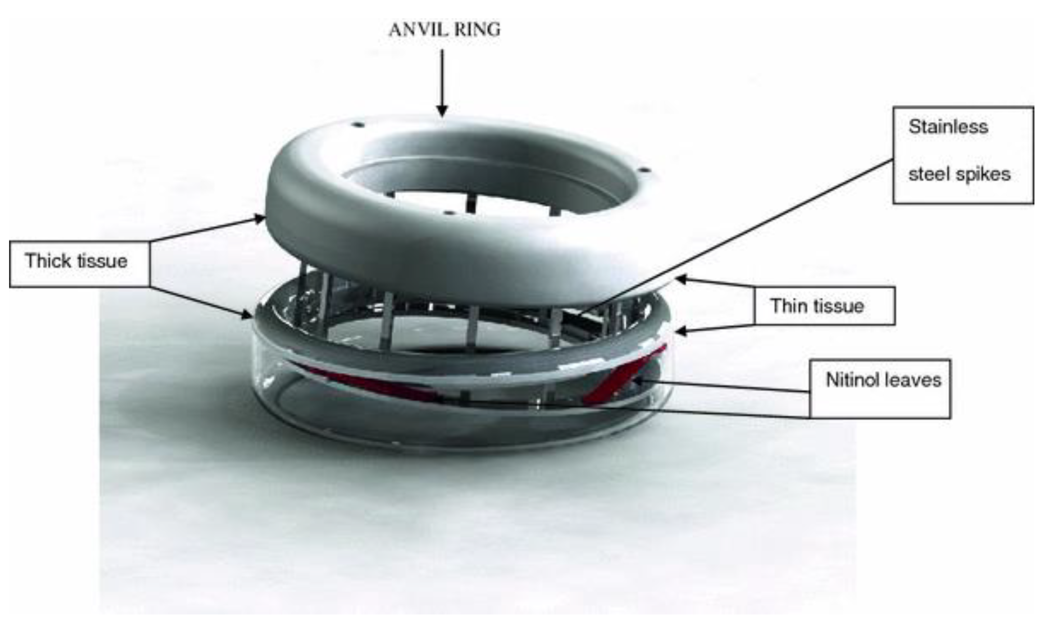 Jcm 09 04061 g003 Jcm 09 04061 g003