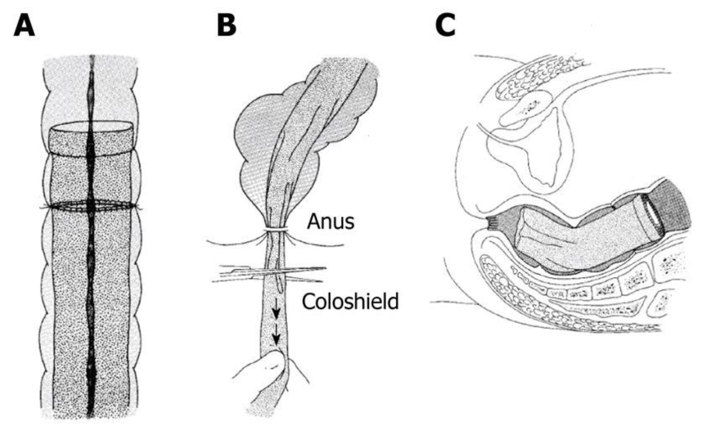 Jcm 09 04061 g005 Jcm 09 04061 g005