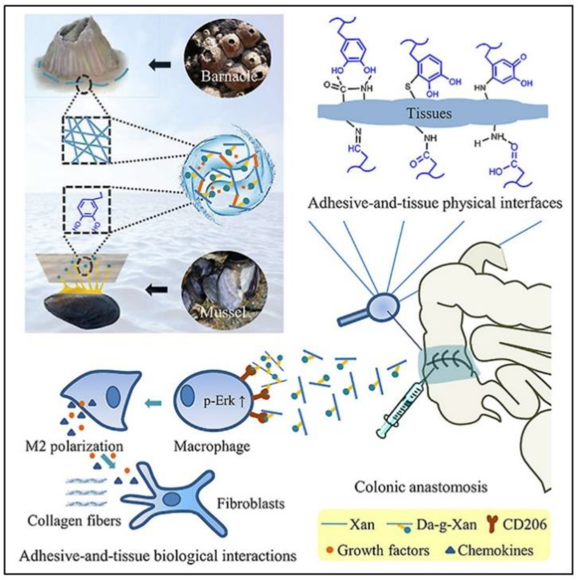 Jcm 09 04061 g006 Jcm 09 04061 g006