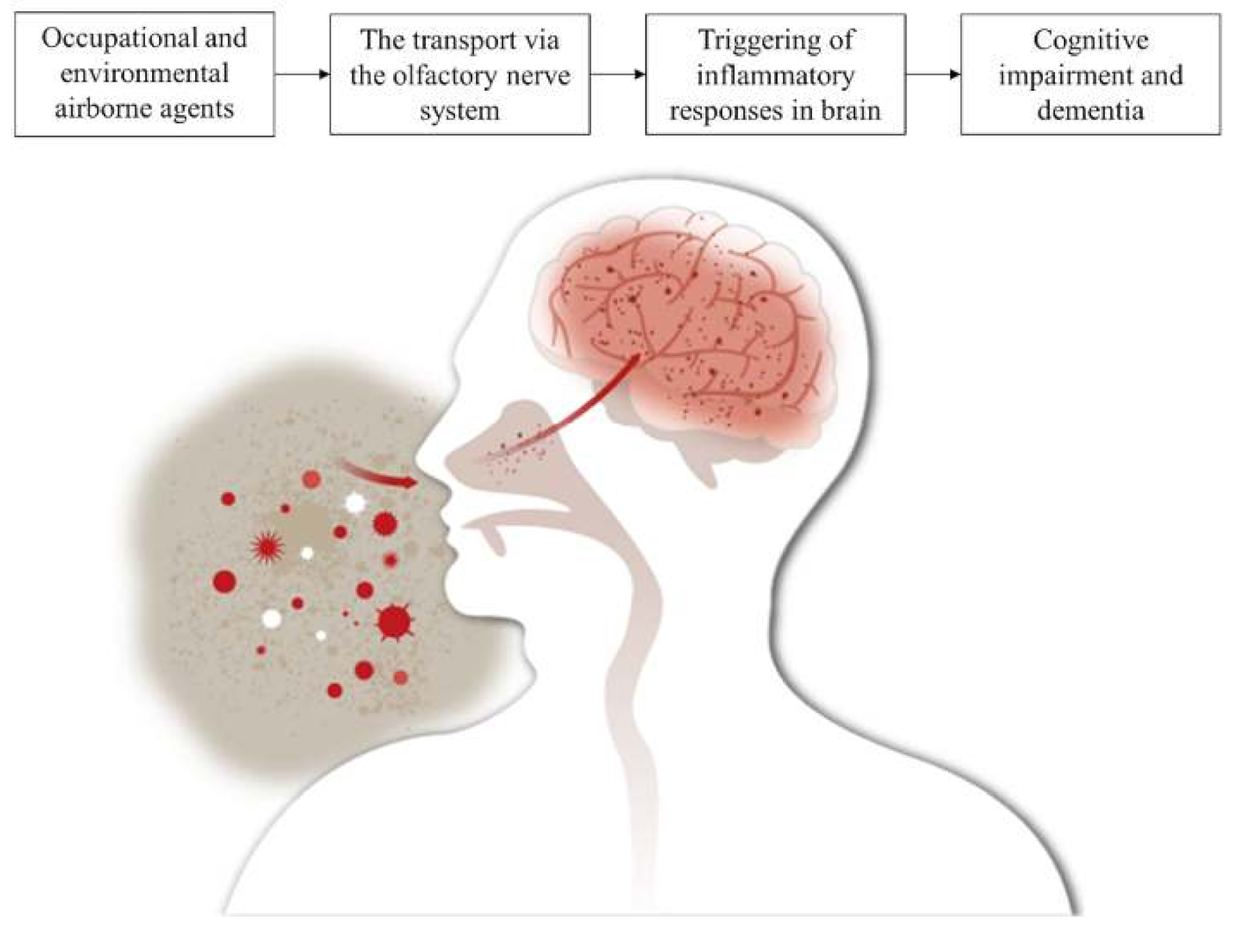 Jcm 09 04069 g002 Jcm 09 04069 g002
