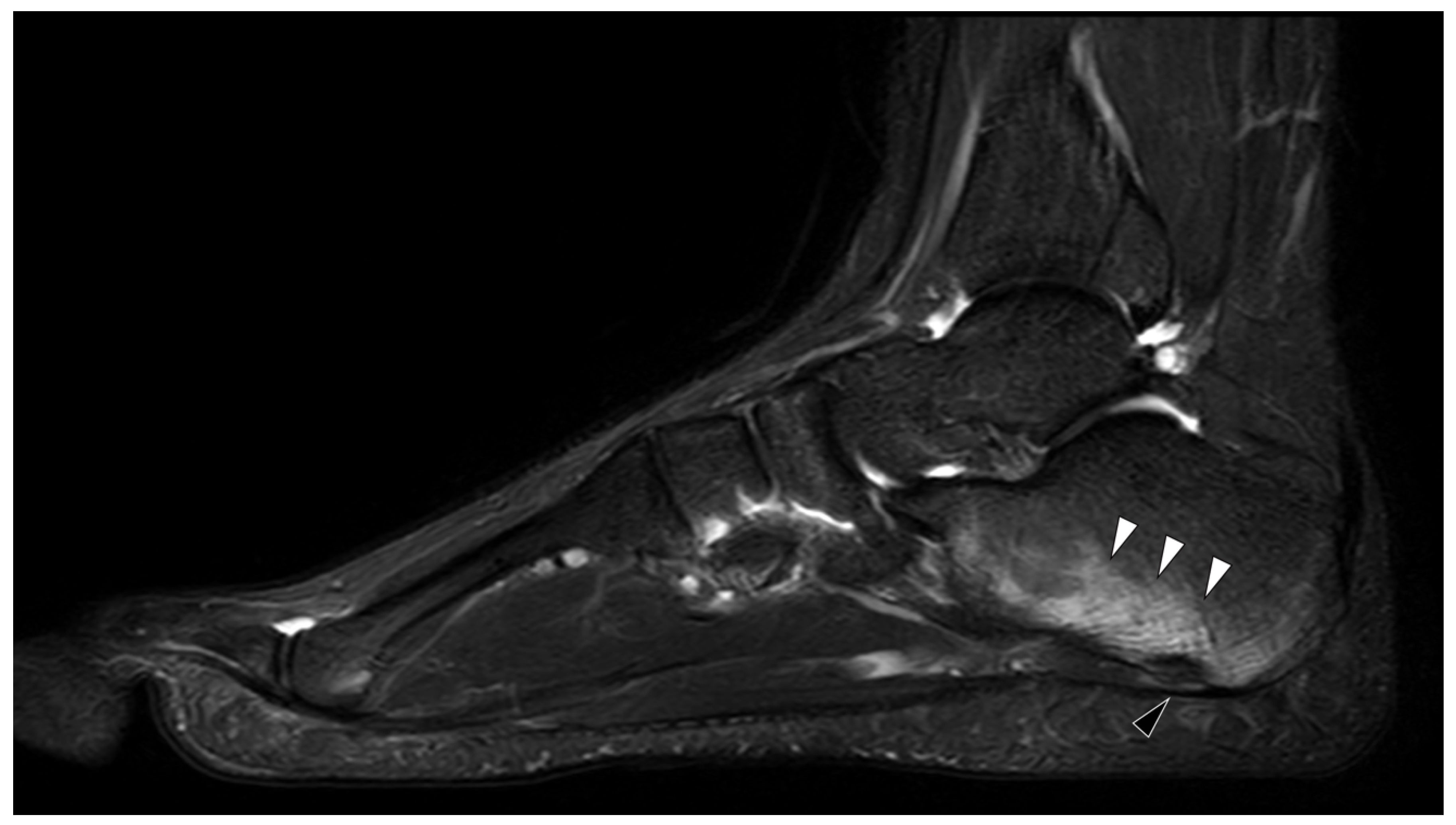 Jcm 09 04074 g001 Jcm 09 04074 g001