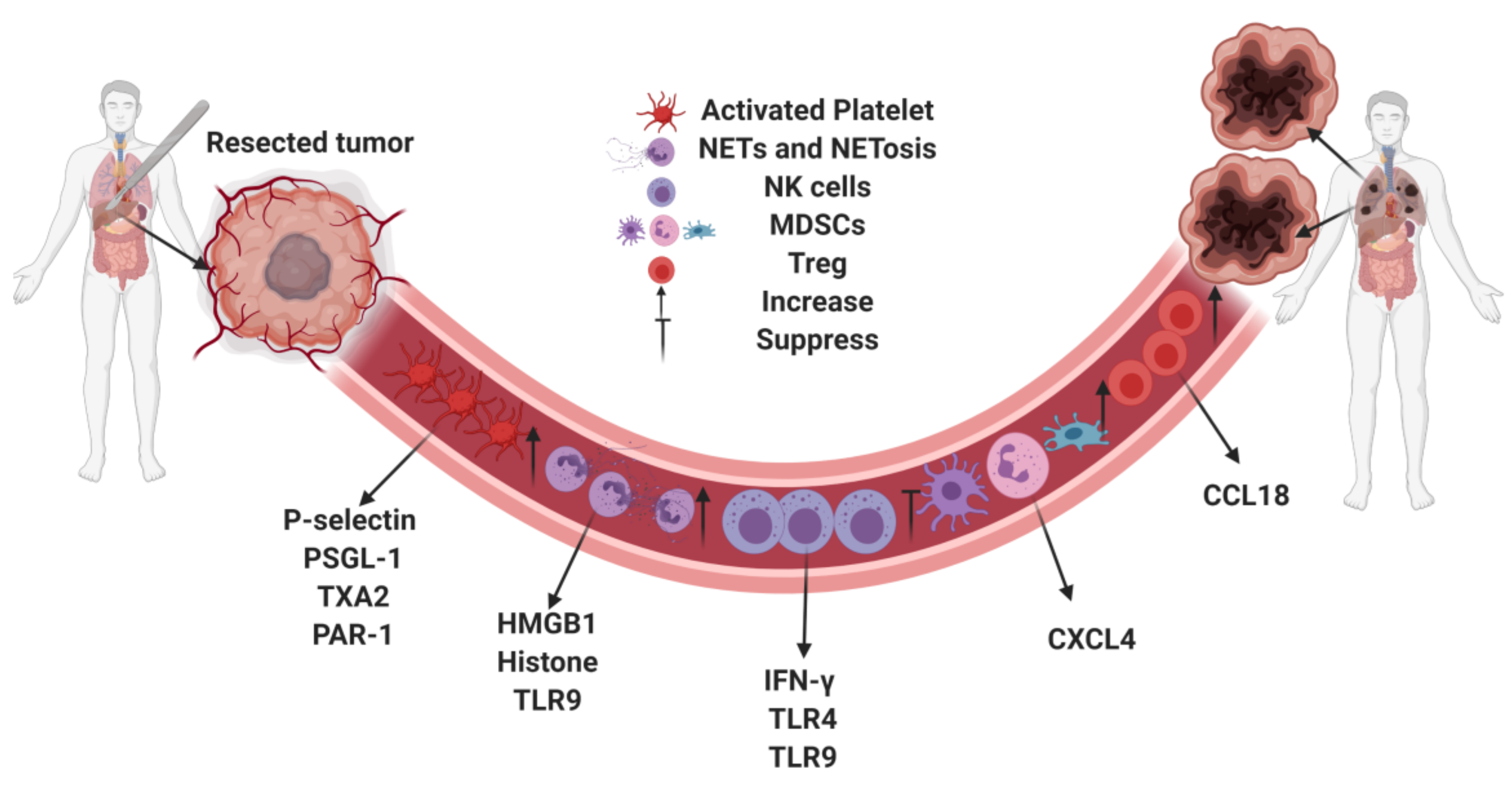 Jcm 09 04096 g001 Jcm 09 04096 g001