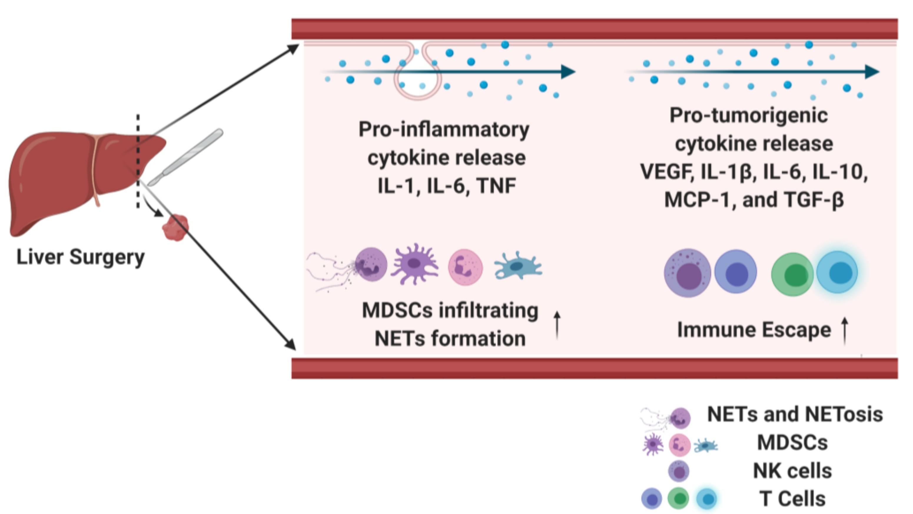 Jcm 09 04096 g002 Jcm 09 04096 g002