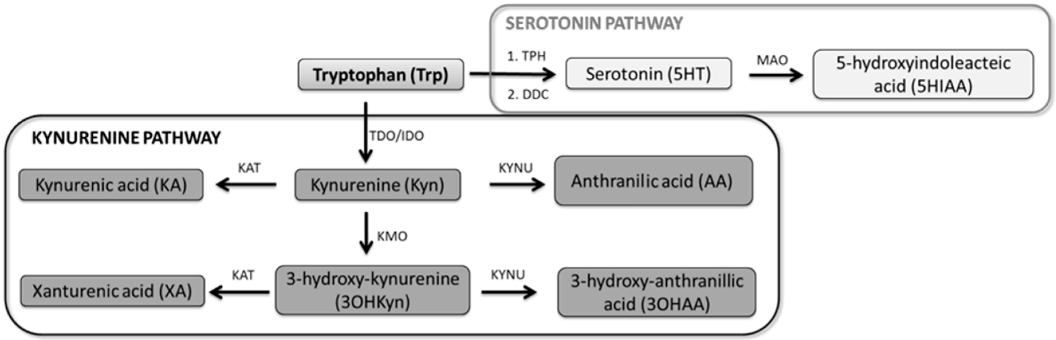 Jcm 09 04103 g001 Jcm 09 04103 g001