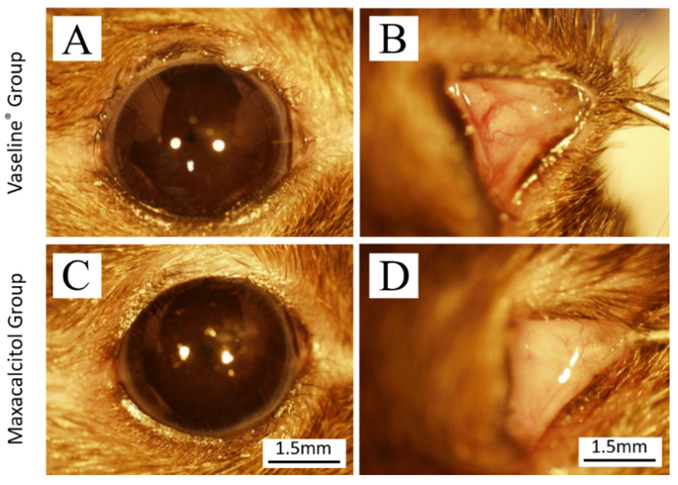 Jcm 10 00006 g002 Jcm 10 00006 g002