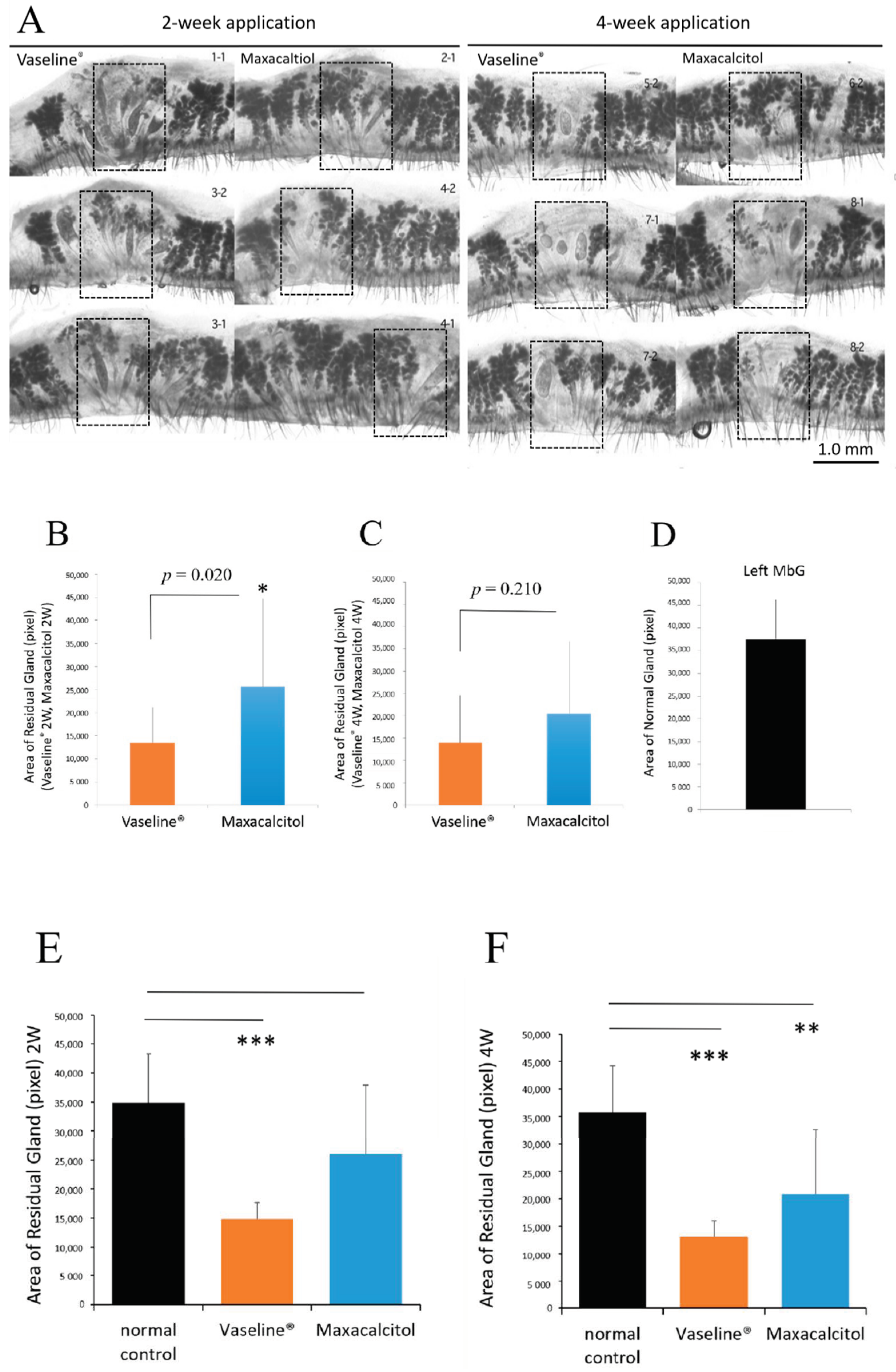 Jcm 10 00006 g003 Jcm 10 00006 g003
