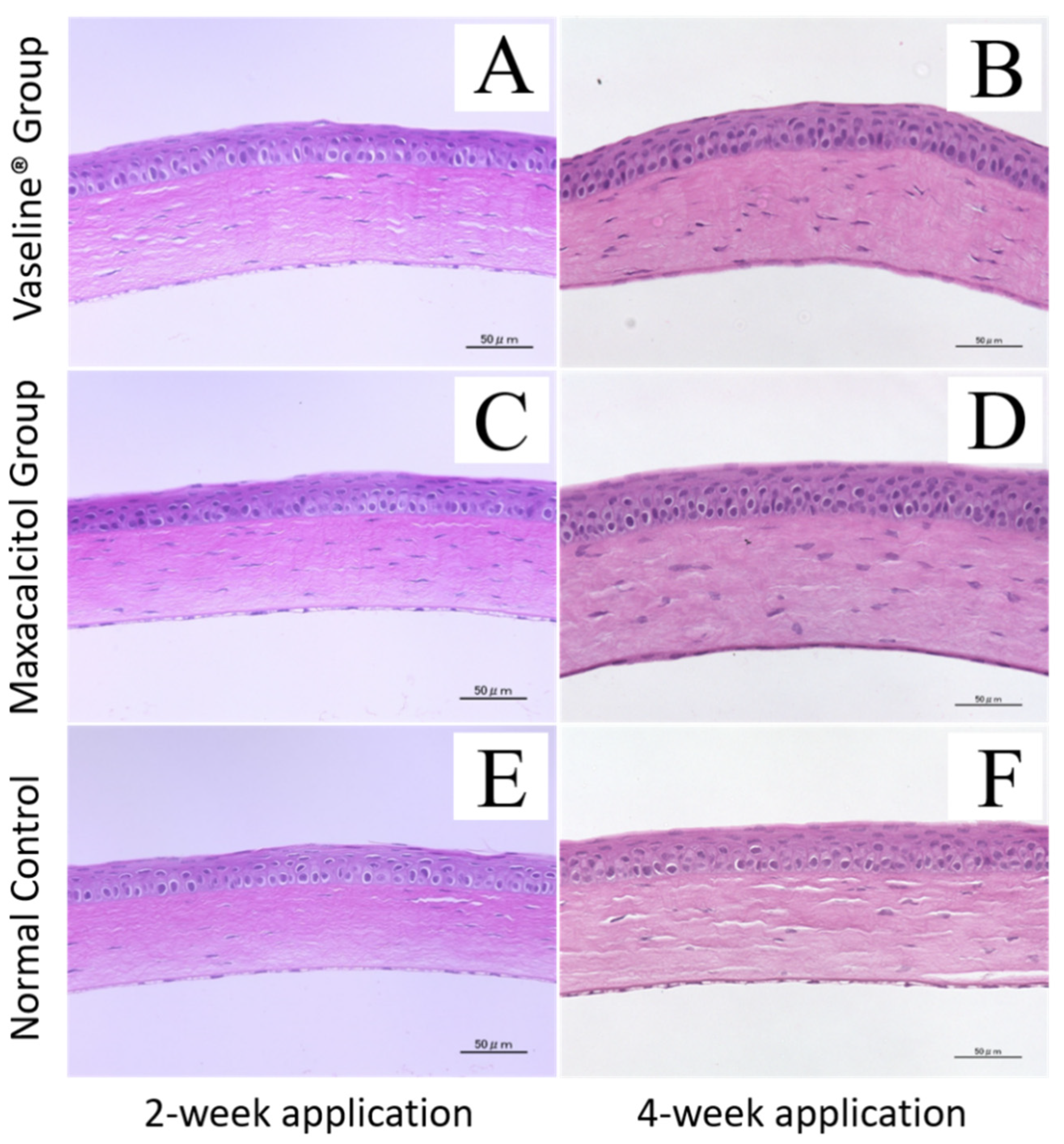 Jcm 10 00006 g004 Jcm 10 00006 g004