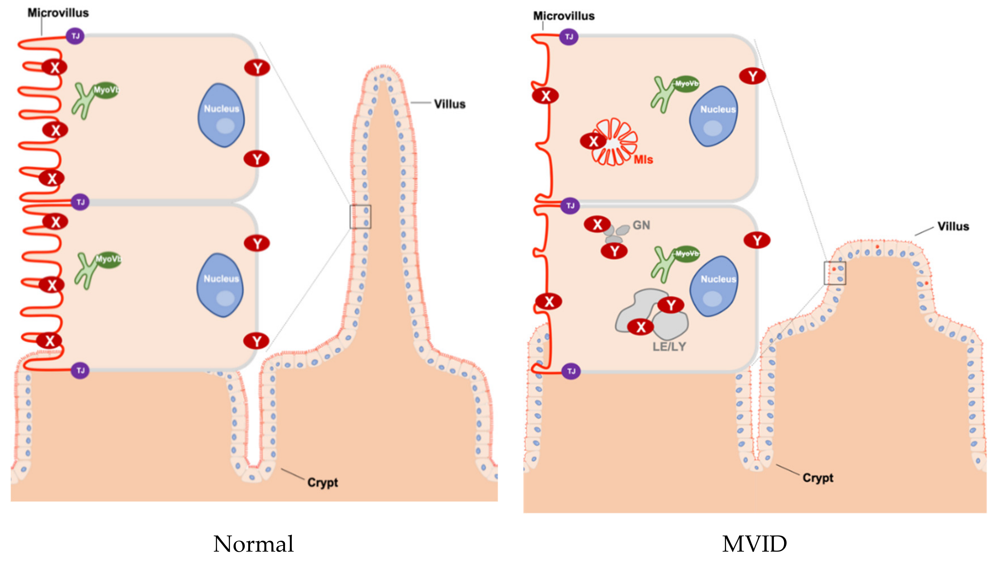 Jcm 10 00022 g001 Jcm 10 00022 g001