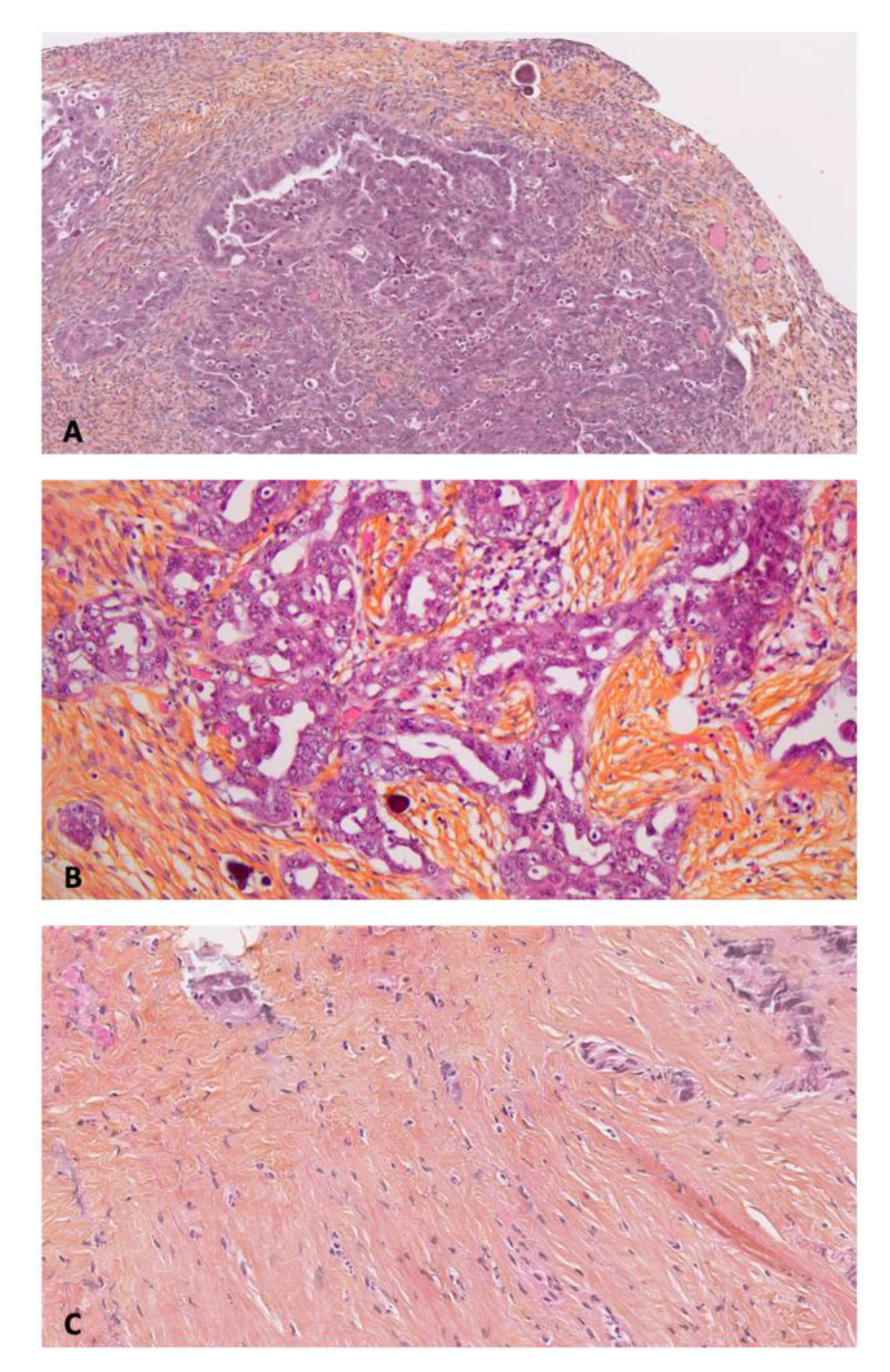 Jcm 10 00041 g001 Jcm 10 00041 g001