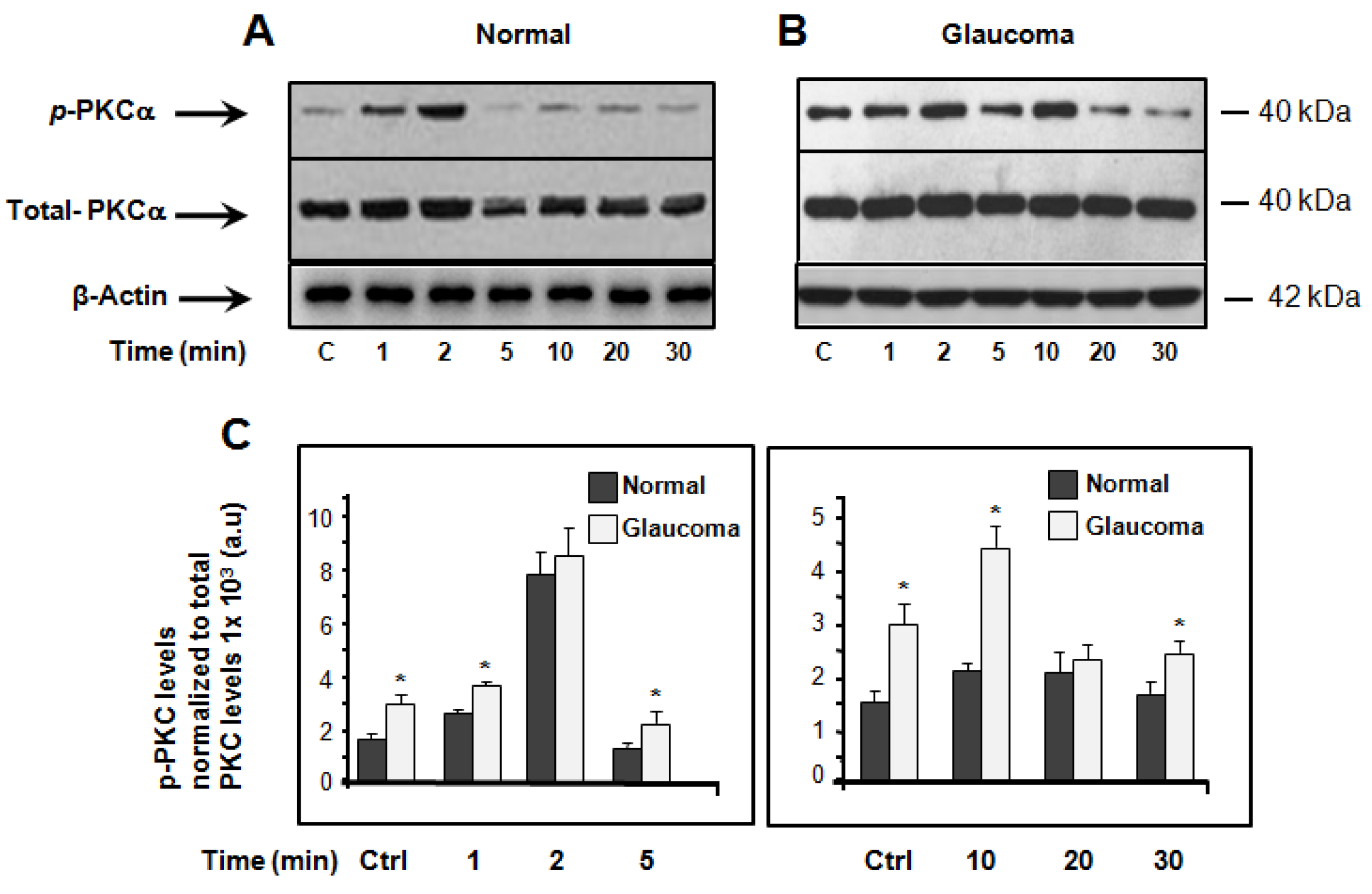 Jcm 10 00062 g002a Jcm 10 00062 g002a