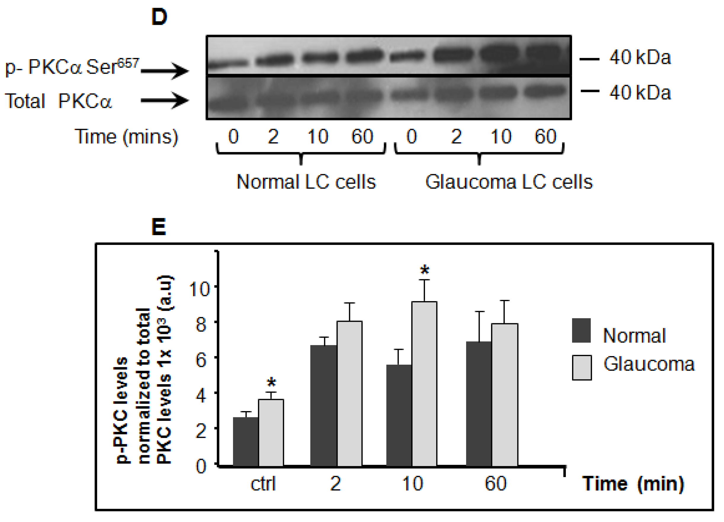 Jcm 10 00062 g002b Jcm 10 00062 g002b