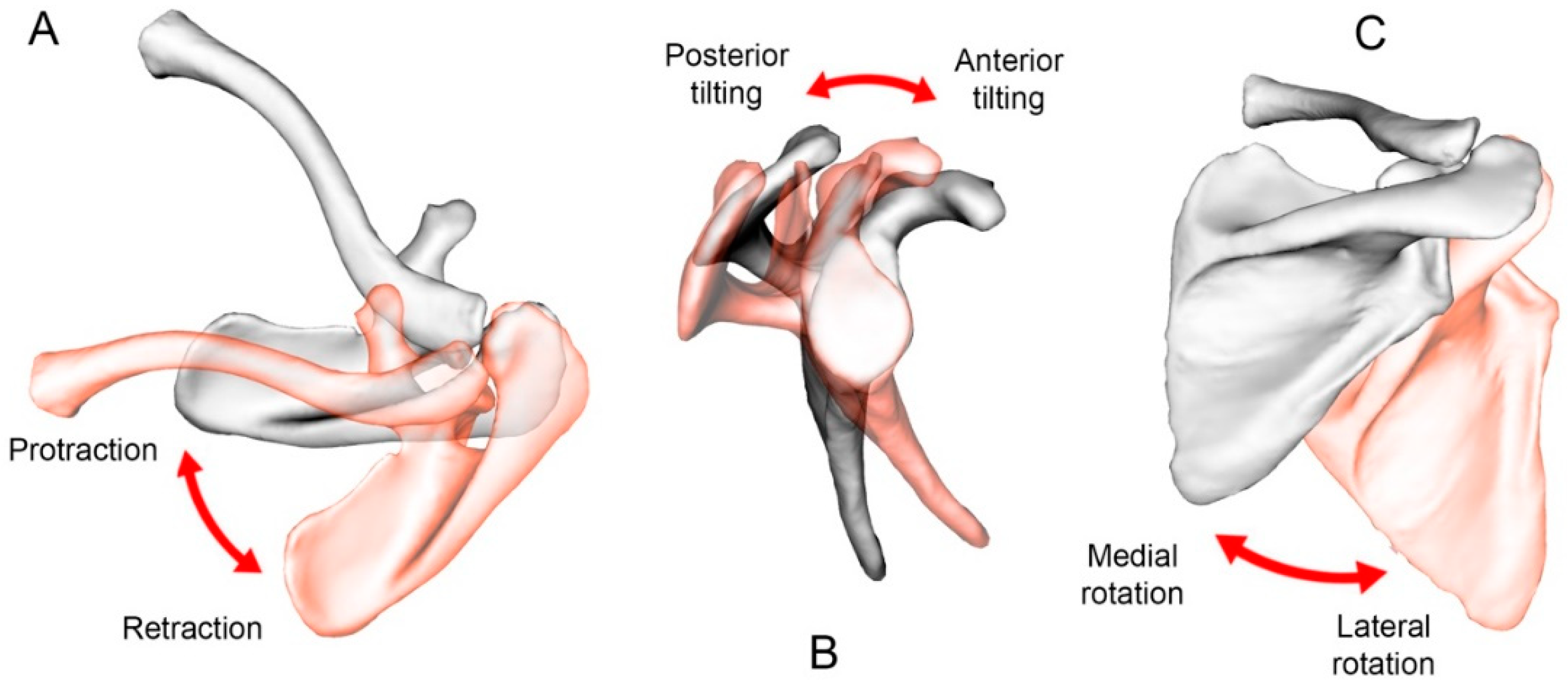 Jcm 10 00066 g005 Jcm 10 00066 g005