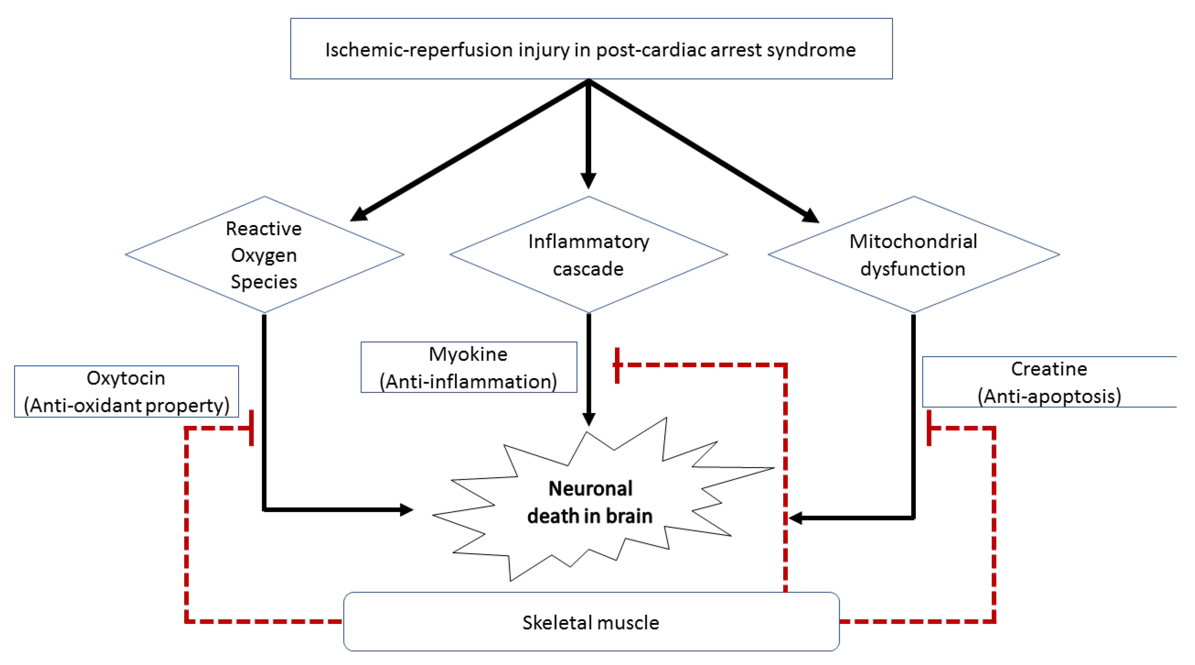 Jcm 10 00071 g003 Jcm 10 00071 g003