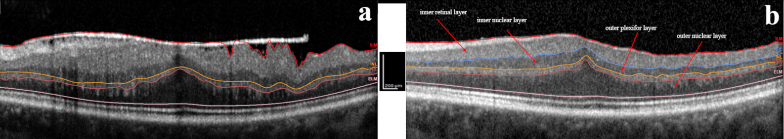 Jcm 10 00090 g001 Jcm 10 00090 g001