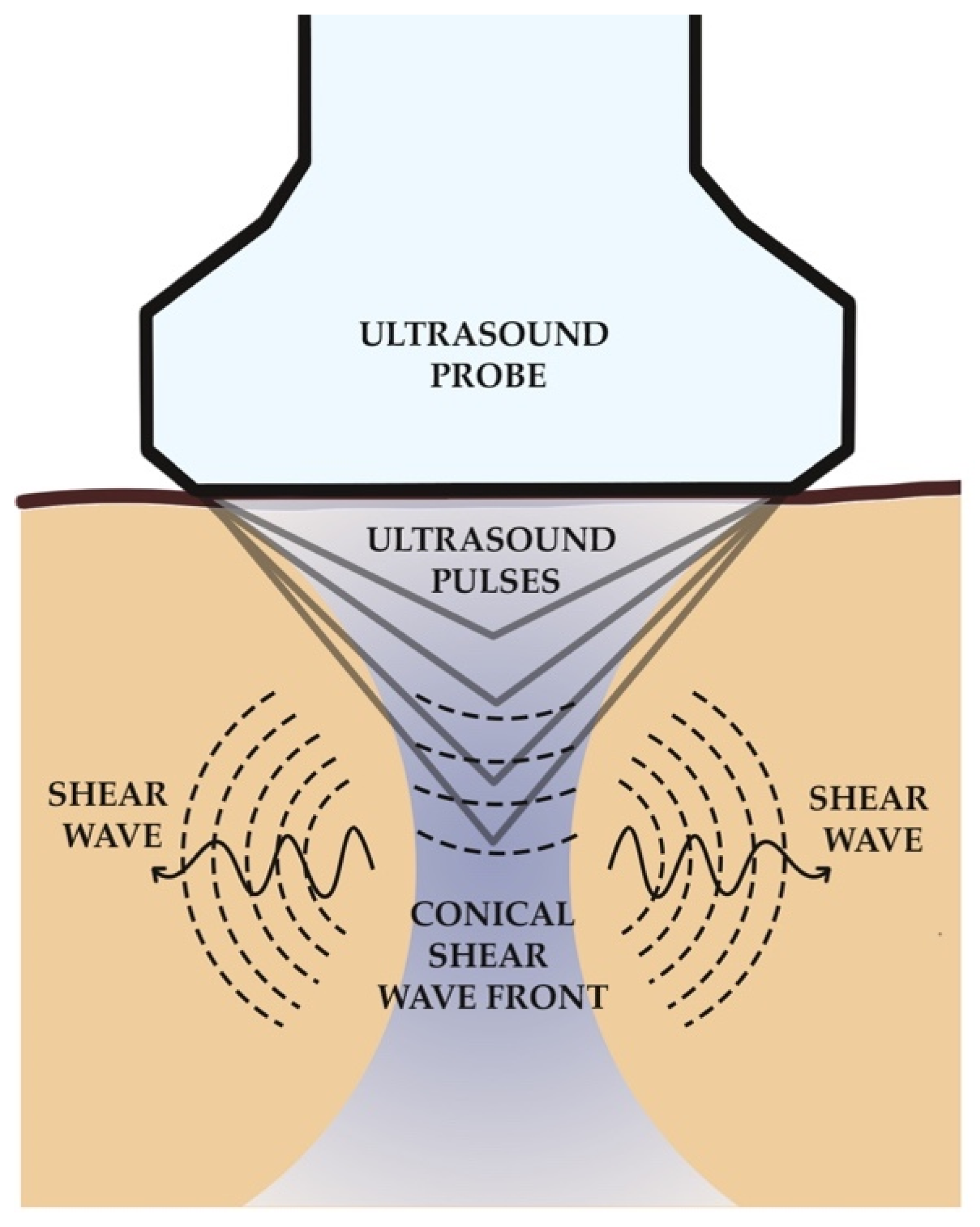 Jcm 10 00095 g001 Jcm 10 00095 g001