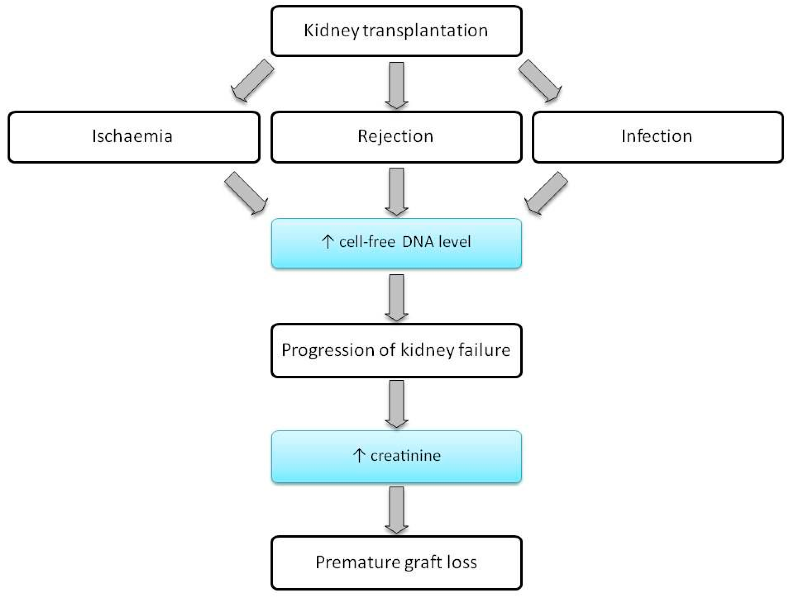 Jcm 10 00193 g003 Jcm 10 00193 g003