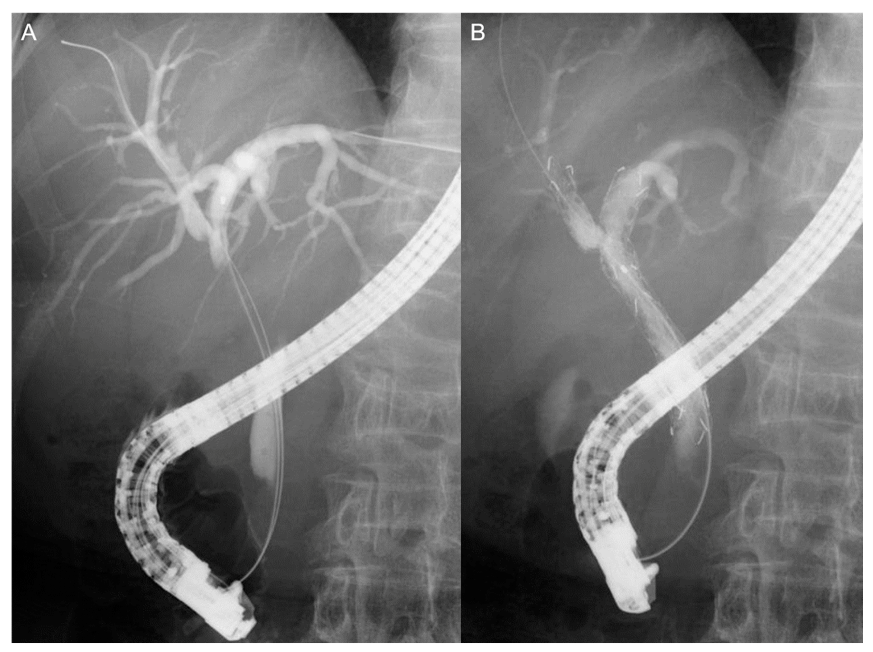 Jcm 10 00206 g001 Jcm 10 00206 g001