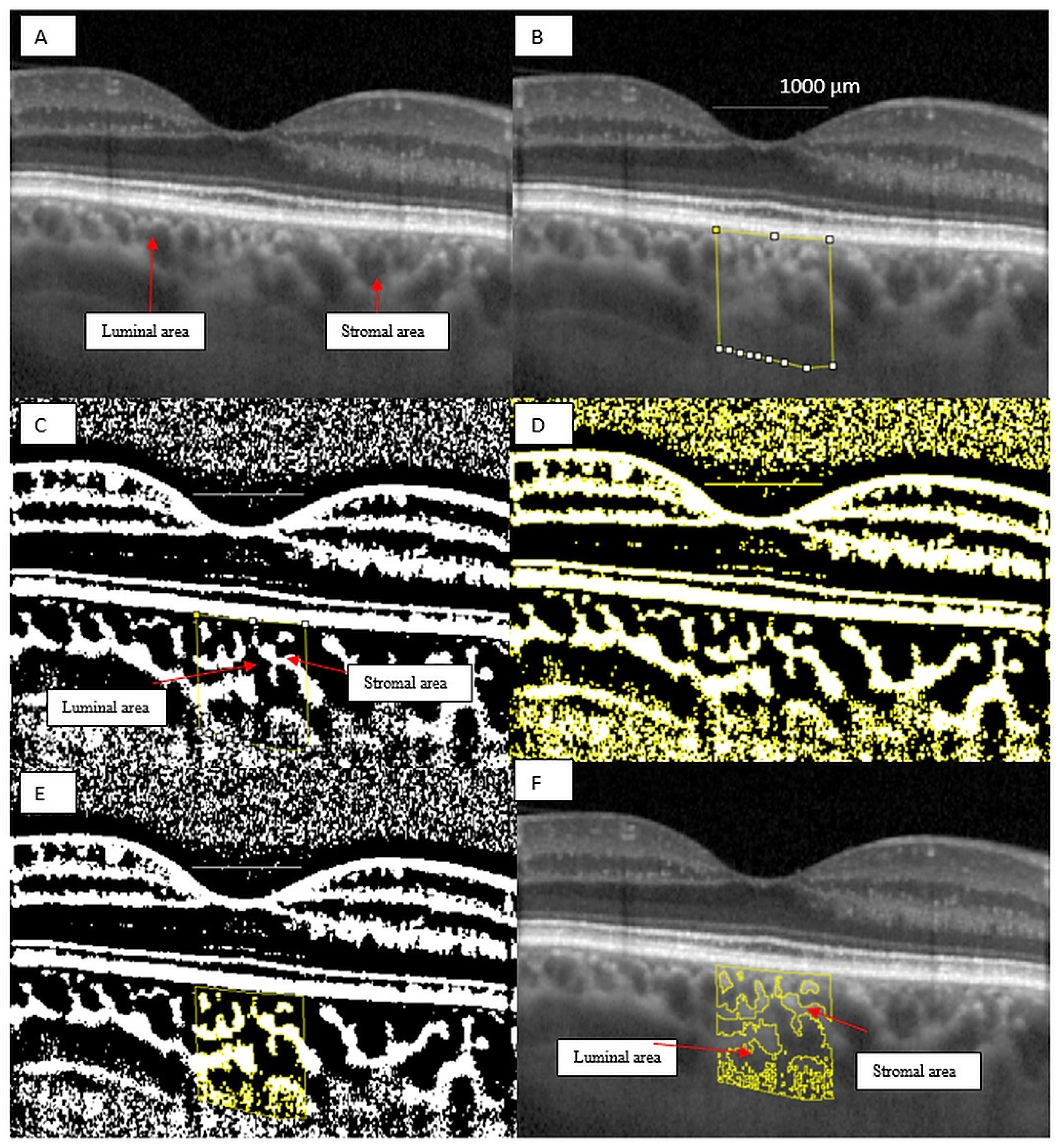 Jcm 10 00210 g003 Jcm 10 00210 g003
